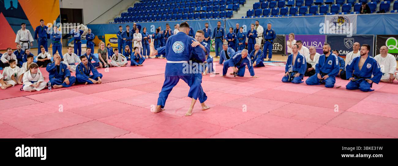 Zrenjanin, Vojvodina, Serbien - 27. April 2025: Seminar des echten Aikido im Kampfsportverein 'Real Aikido Zrenjanin 1995', Studenten werden demonstriert l Stockfoto
