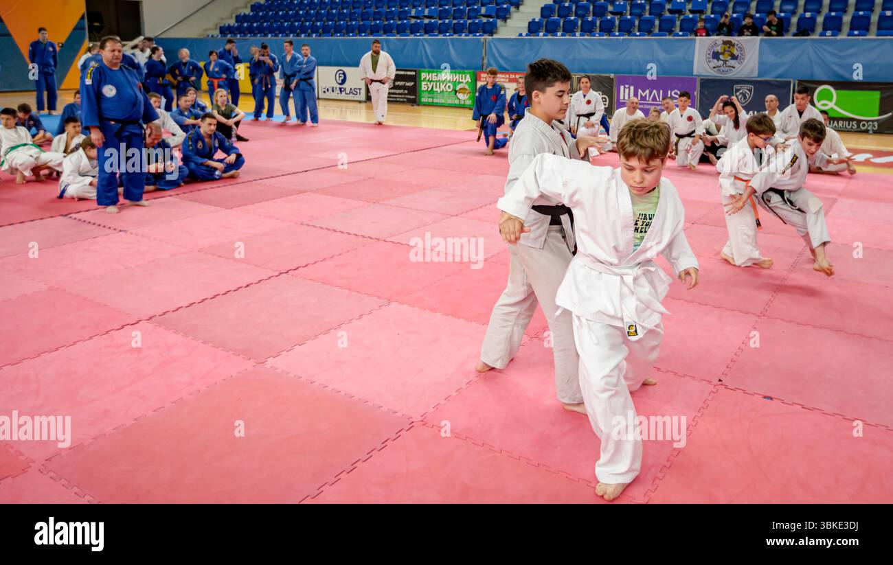 Zrenjanin, Vojvodina, Serbien - 27. April 2025: Seminar des echten Aikido im Kampfsportverein 'Real Aikido Zrenjanin 1995', Studenten werden demonstriert l Stockfoto