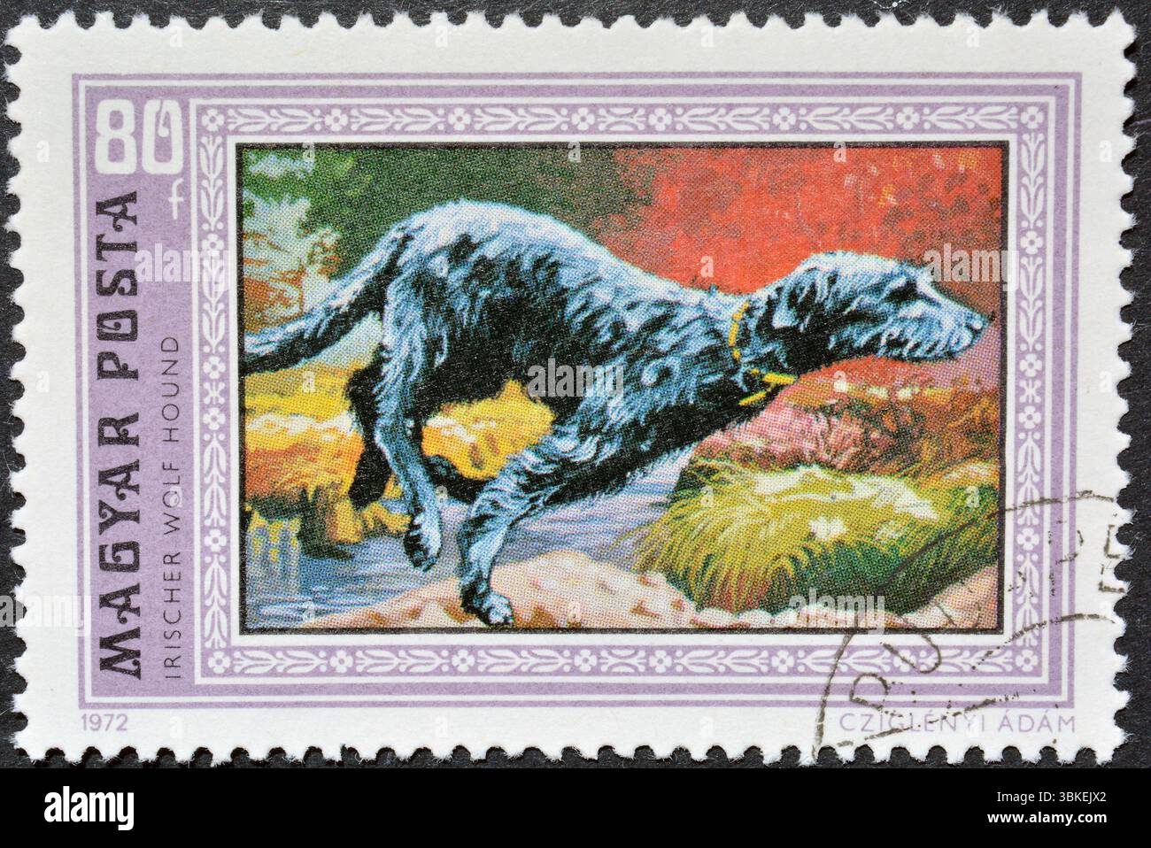 Gestempelte Briefmarke, gedruckt von Ungarn, die irischen Wolfshund (Canis Lupus familiaris) zeigt, um 1972. Stockfoto