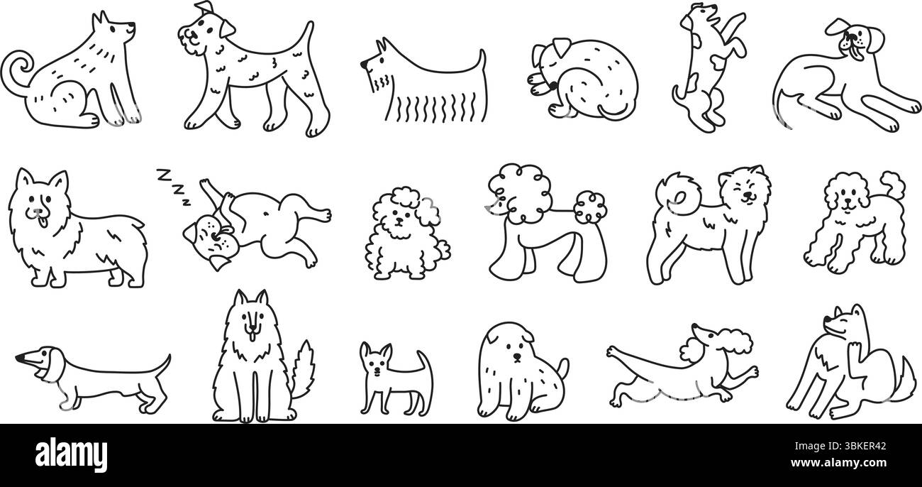 Niedliche Hunde. Hunderassen-Kritzeleien, handgezeichnete Welpen-lineare Skizzen mit Pudel, Husky, Dackel, Terrier und anderen Rassen für die Tierklinik oder Stock Vektor
