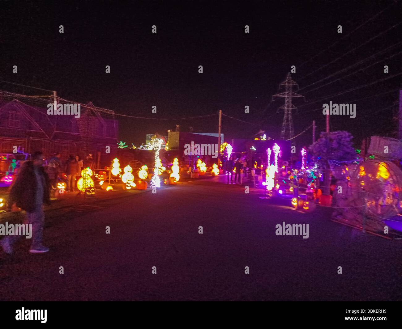 Toronto, ON, Kanada – 18. Oktober 2024: Die massiven Illumi-Lichtstatuen und -Installationen werden auf dem Lichtfestival in Toronto vorgestellt. Stockfoto Toronto, ON, Kanada – 18. Oktober 2024: Die massiven Illumi-Lichtstatuen und -Installationen werden auf dem Lichtfestival in Toronto vorgestellt. Stockfoto