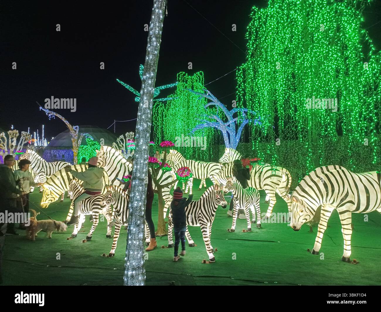 Toronto, ON, Kanada – 18. Oktober 2024: Die massiven Illumi-Lichtstatuen und -Installationen werden auf dem Lichtfestival in Toronto vorgestellt. Stockfoto Toronto, ON, Kanada – 18. Oktober 2024: Die massiven Illumi-Lichtstatuen und -Installationen werden auf dem Lichtfestival in Toronto vorgestellt. Stockfoto