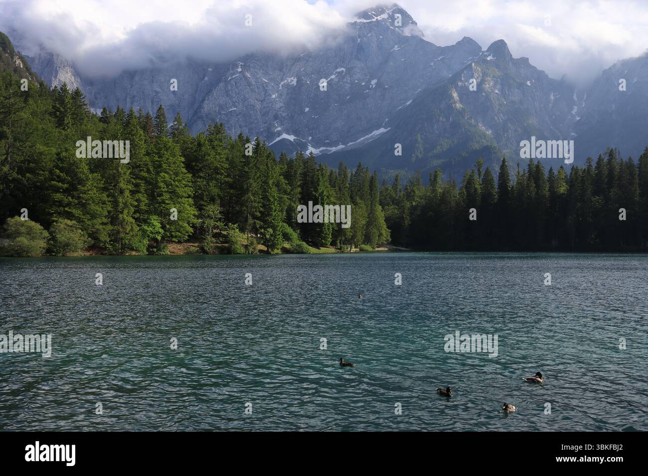 Laghi di Fusine bei Tarvisio Stockfoto
