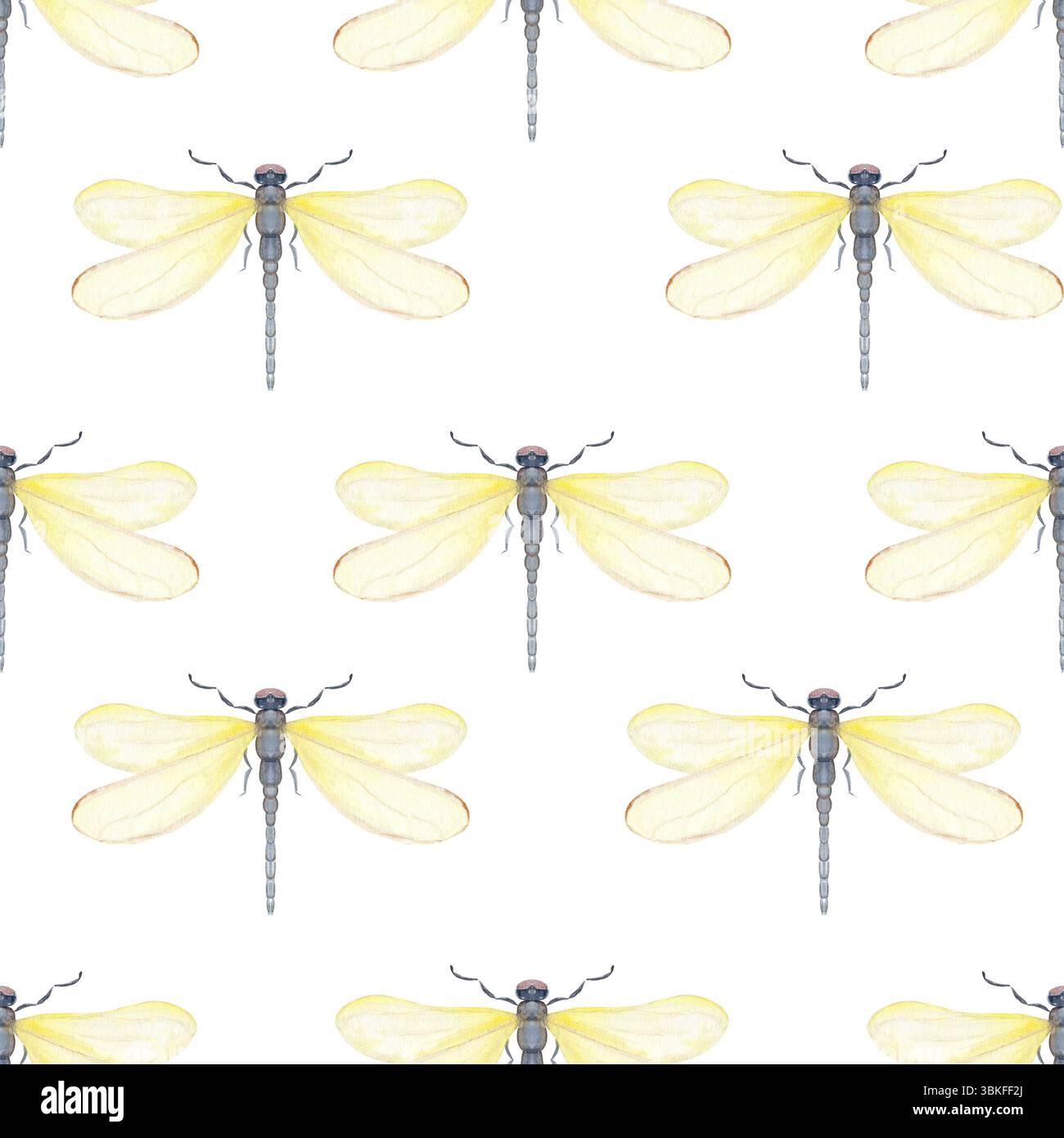 Gelbe Libelle, durchscheinende Flügel, nahtloses Aquarellmuster isoliert auf weiß. Ideal für Naturbranding, Verpackung, umweltfreundliches Design Stockfoto