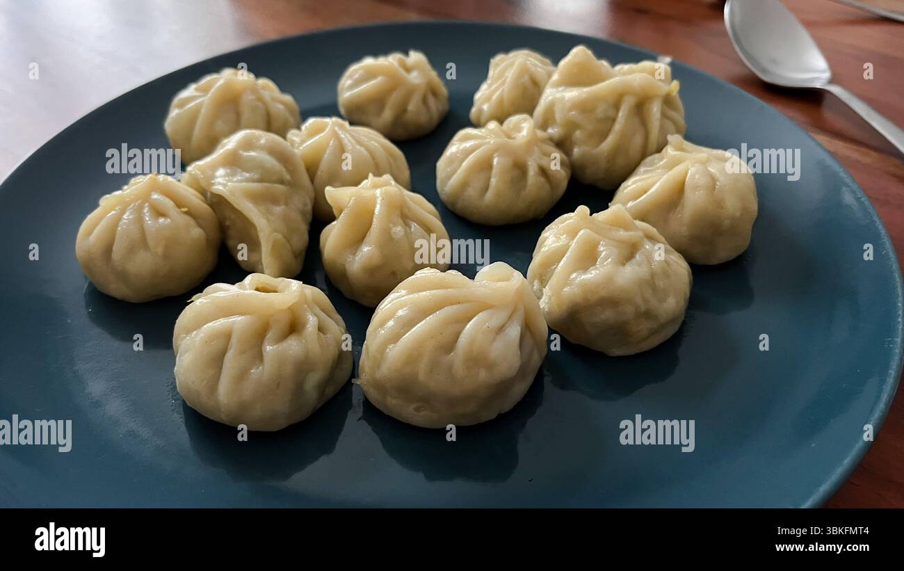 Teller voller traditioneller gedämpfter nepalesischer Knödel Momo gefüllt mit Huhn, Fleisch, Meeresfrüchten oder Gemüse. Hausgemachte exotische Speisen, Inspiration Stockfoto