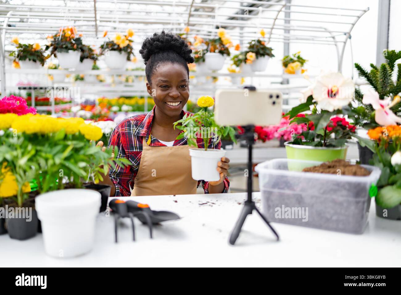 Frau Filmt Ein Gartenvideo Stockfoto