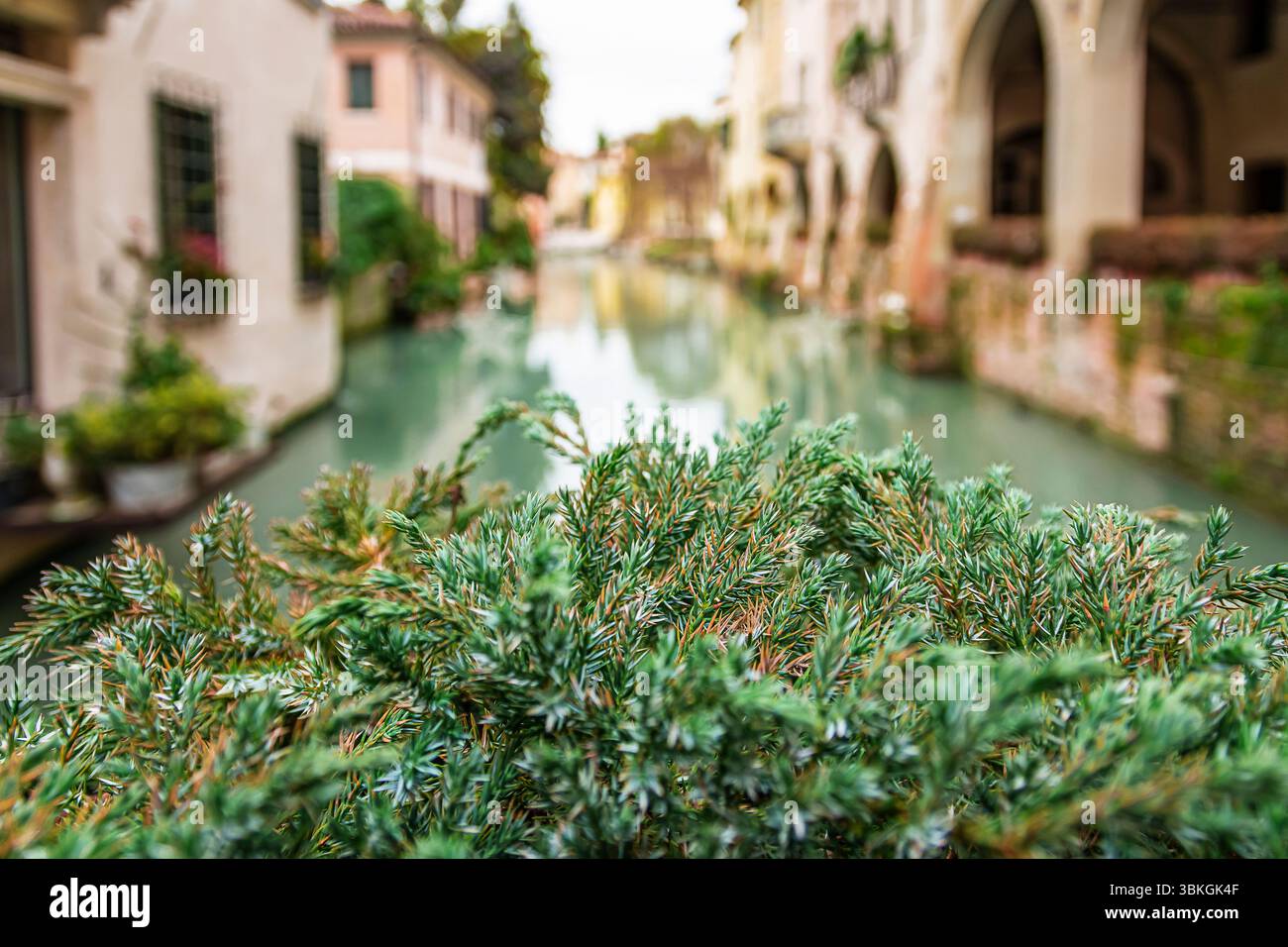 Der Zauber von Weihnachten zwischen den Kanälen von Treviso Stockfoto