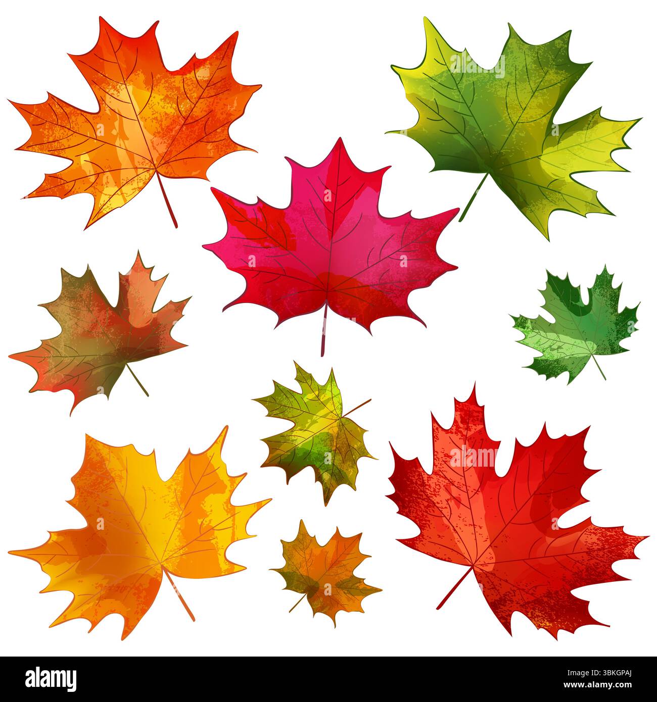 Herbstfarbenes Ahornblatt Set. Vektor Aquarell handgezeichnete Illustration. Blumendesign-Elemente im Vintage-Vintage-Look für Banner, Poster, Stock Vektor