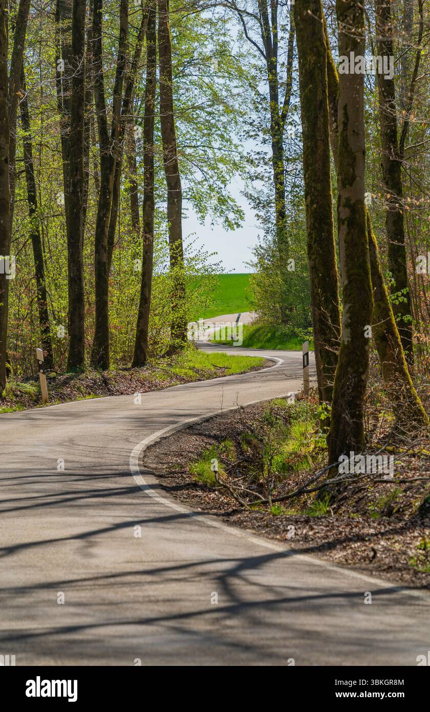 Idyllische einspurige Straße in einem Wald zu Frühfrühlingszeiten in Süddeutschland Stockfoto