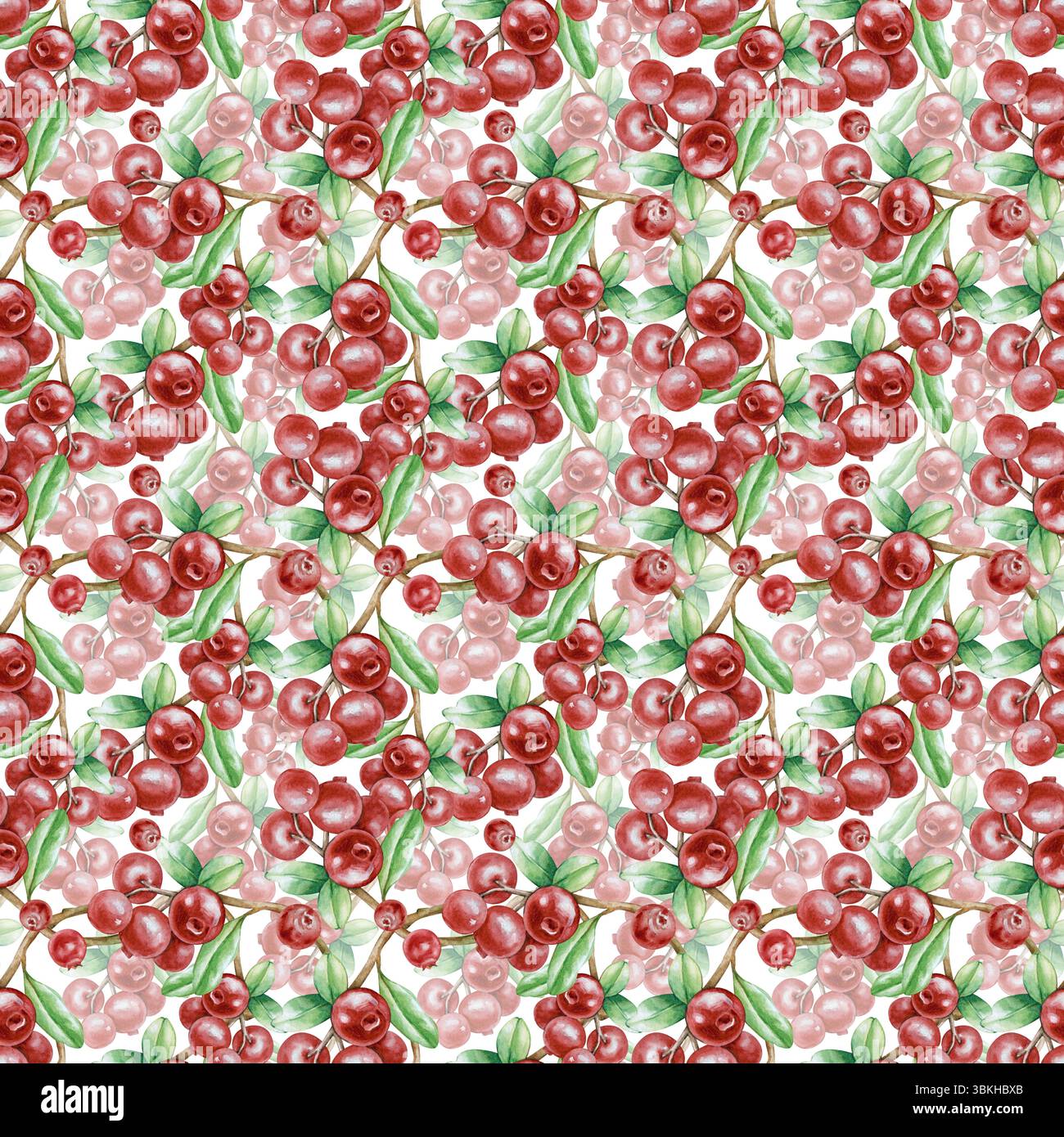 Nahtloses Aquarellmuster mit Beeren und Preiselbeerblättern, handgezeichnet auf weißem Hintergrund. Nahtloser Hintergrund mit roten Waldbeeren an Stockfoto