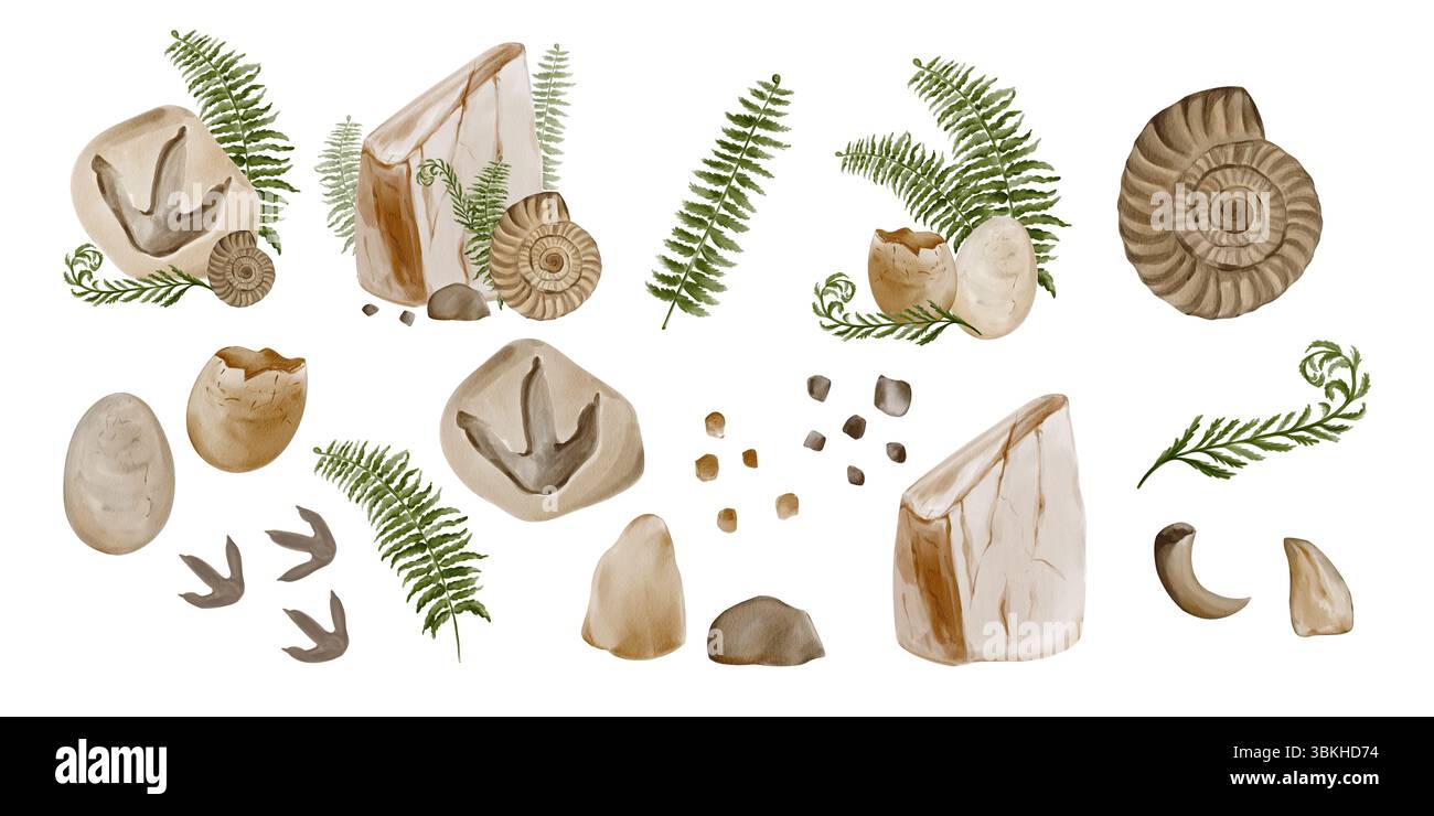 Eine Reihe prähistorischer Fossilien. Steine und alte Dinosaurierspuren. Farn- und Raubzähne und -Zähne. Antike Museumsgegenstände. Aquarellabbildung Stockfoto