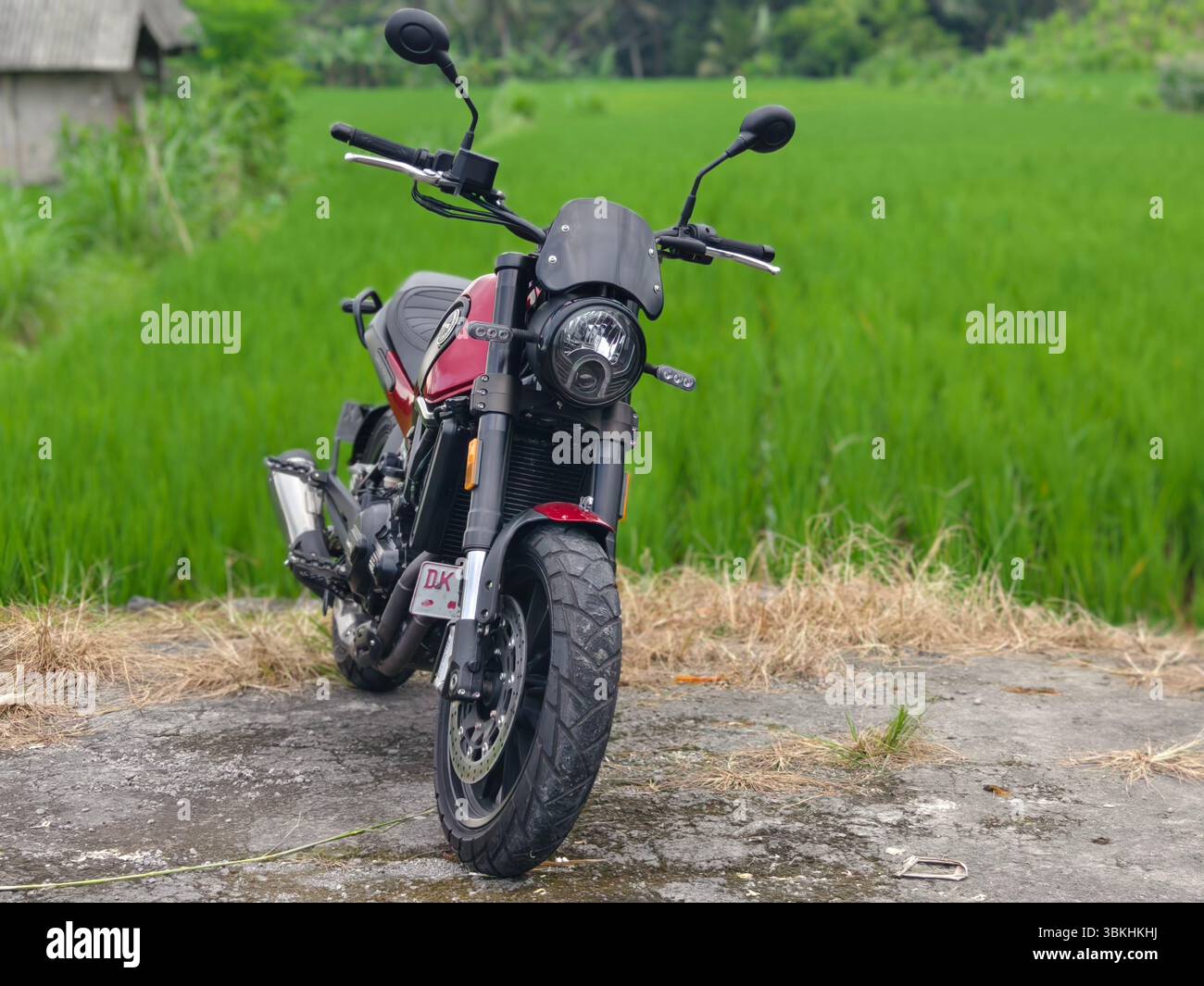 Badung, Bali, Indonesien – 17. Mai 2025: Ein elegantes rotes Benelli Leoncino Motorrad mit 500 ccm und Blick auf das Reisfeld Stockfoto