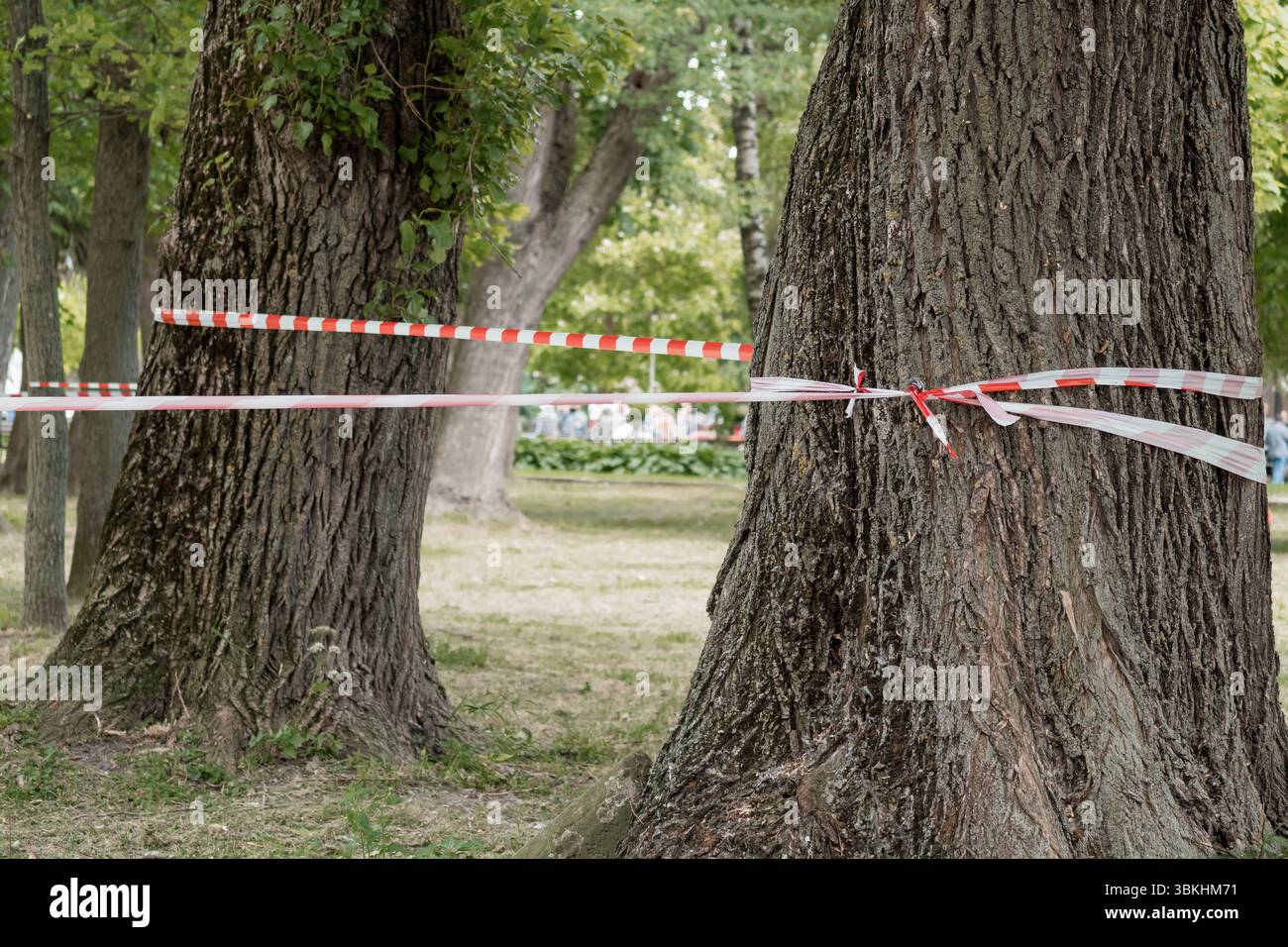 Ein Park ist mit rot-weißem Warnband abgesperrt, das zwischen Bäumen gestreckt ist und einen Tatort anzeigt, der gerade ermittelt wird, einen Tatort tagsüber, einen verschwommenen Ba Stockfoto