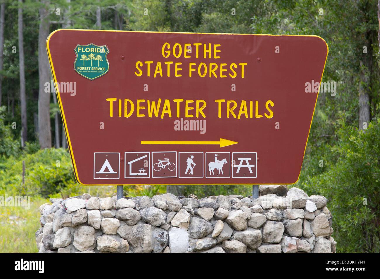Goethe State Forest Eintrittsschild zu den Tidewater Trails in Dunnellon, Florida Stockfoto