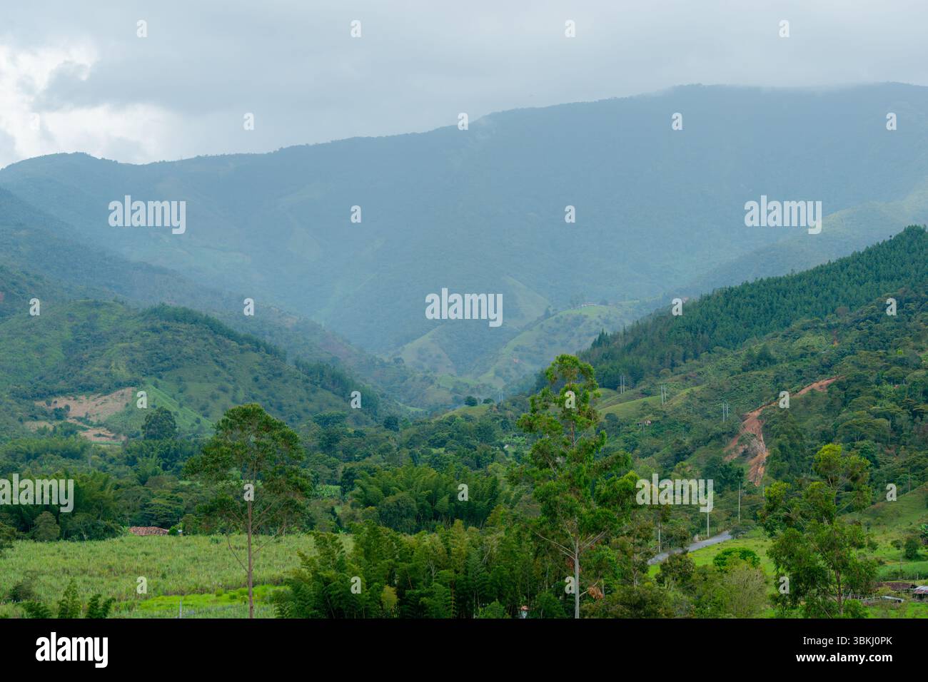 Der Regen fällt sanft über die kolumbianischen Berge und bedeckt Ackerland mit Nebel. Eine ruhige ländliche Landschaft verbindet Kulturen, grüne Hügel und bewölkten Himmel Stockfoto