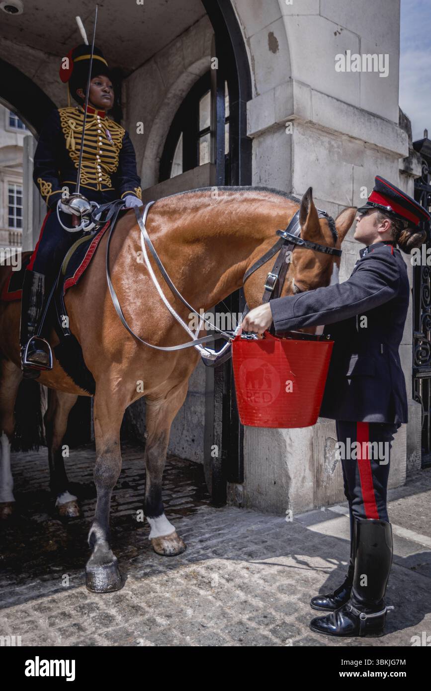 Ein Pferd bei Horse Guards wird während der Hitzewelle in London mit Wasser versorgt. Stockfoto