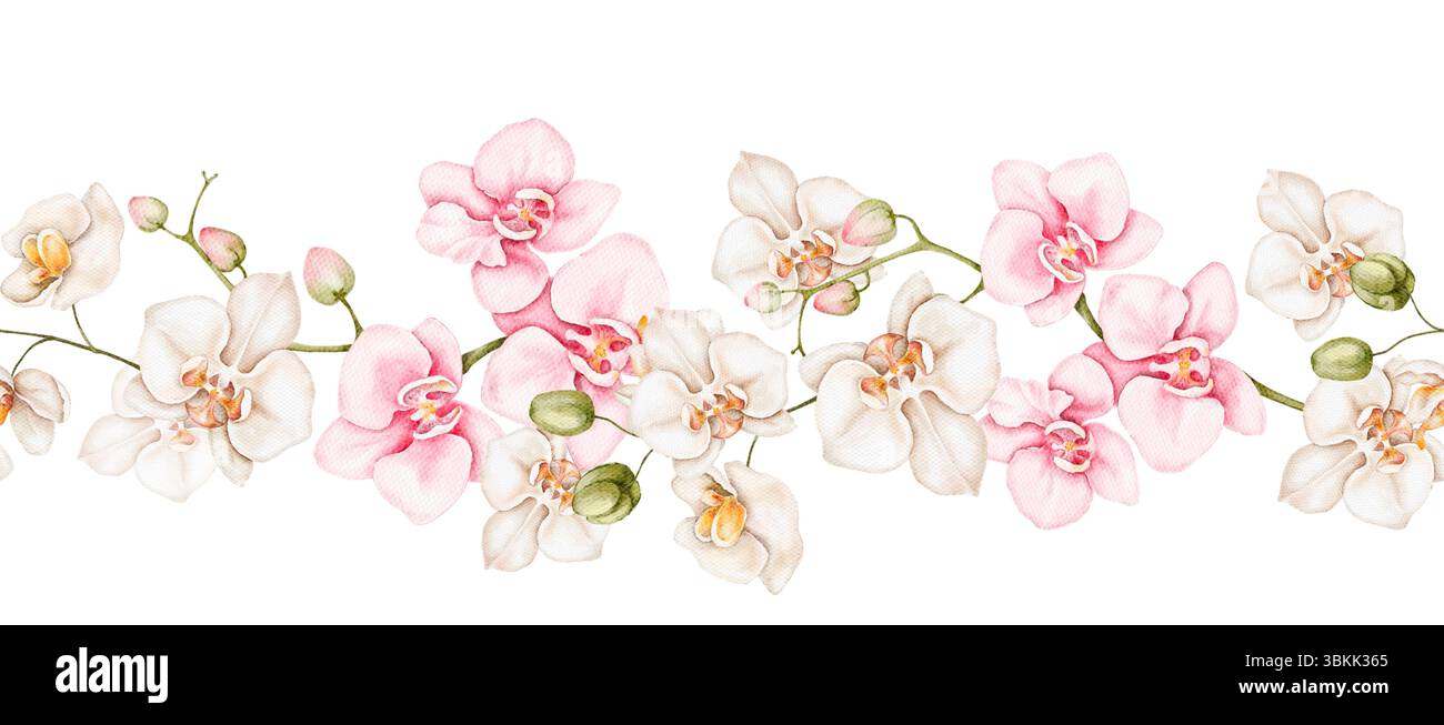 Aquarellfarben nahtlos wiederholbarer Blumenrand mit einer Mischung aus Orchideen und Kamelien in sanften Rosa-Tönen isoliert. Handgemalte botanische Kunst für Karten, Stockfoto
