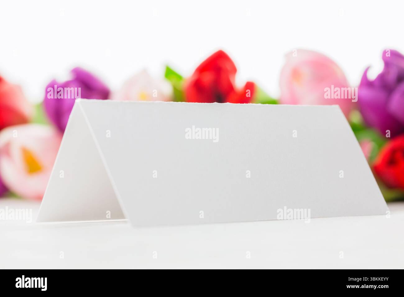 Flache leere Karte im minimalen Design im Zeltstil steht auf weißer Oberfläche mit verschwommenem Tulpenhintergrund Stockfoto