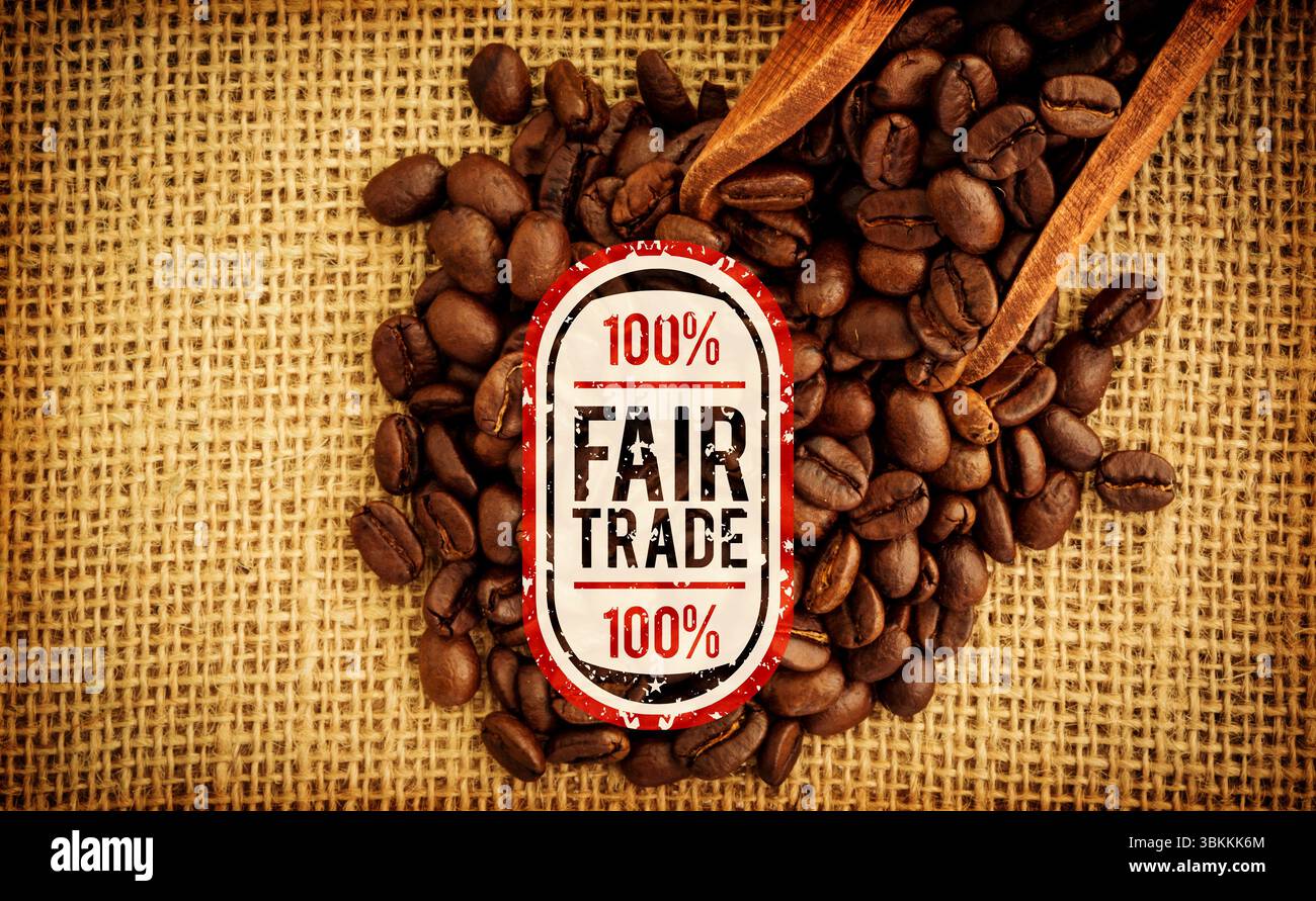 Die flache Abbildung zeigt dunkle geröstete Kaffeebohnen, die auf Sackleinen liegen und mit Fair Trade-Stempel belegt sind Stockfoto