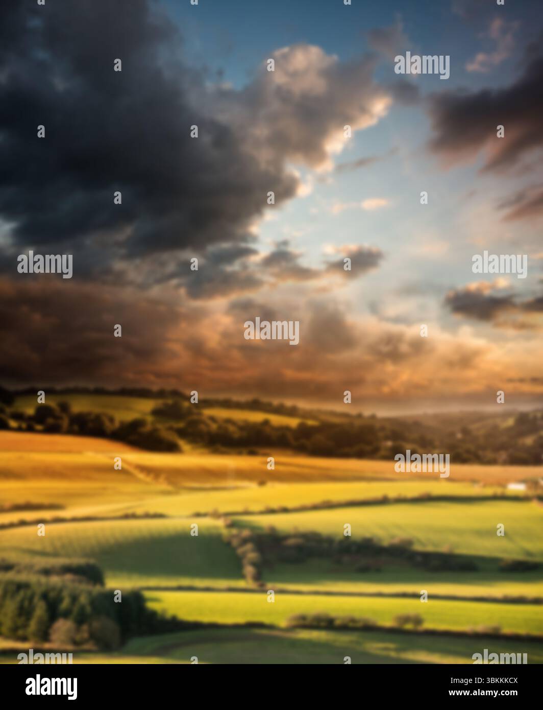 Ruhige Szene des Feldes bei Sonnenuntergang Stockfoto