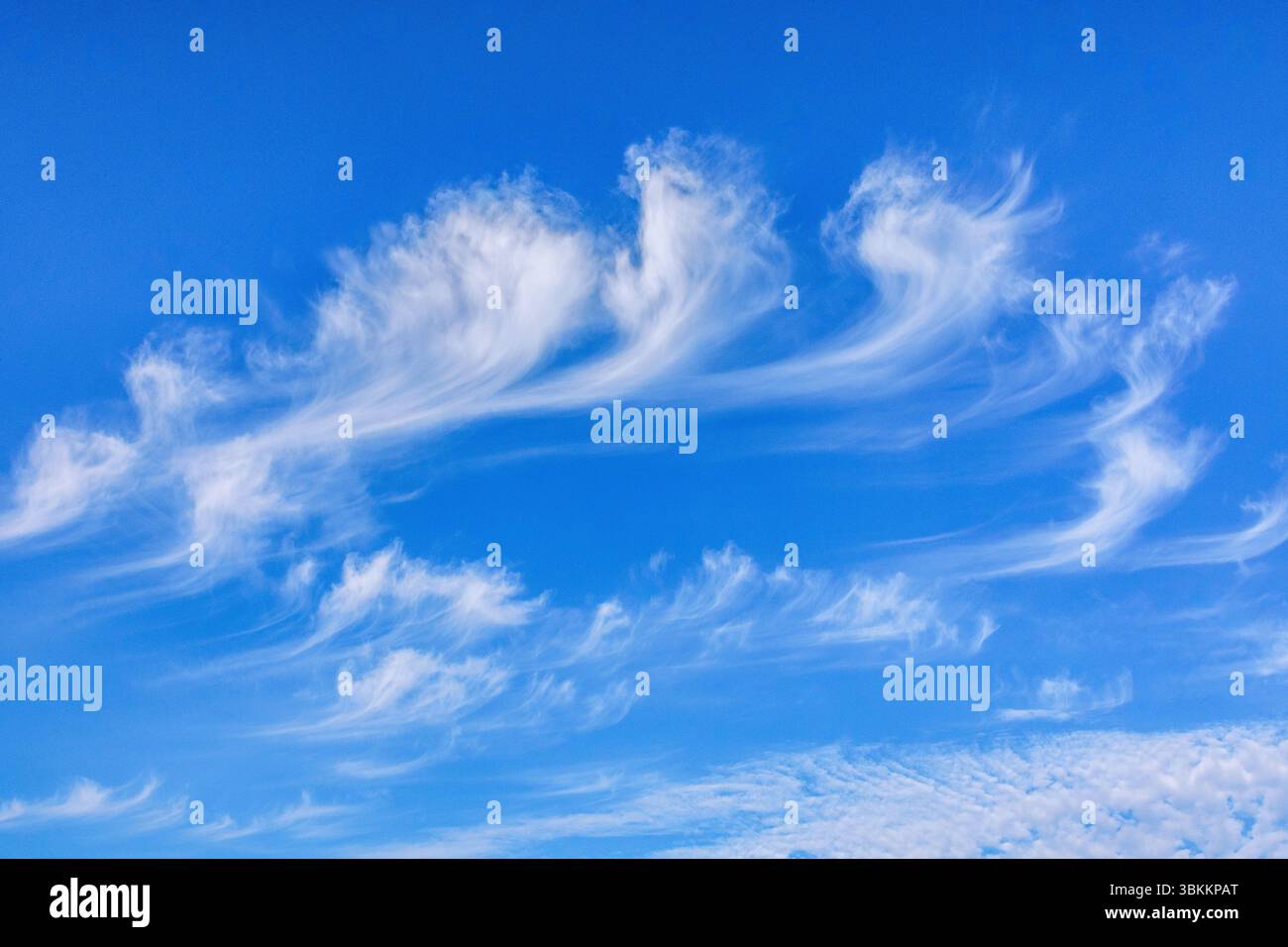 Bildung von hochgelegenen Cirrus uncinus 'Mare's tail' Wolken in einem blauen Himmel - Zentralfrankreich. Stockfoto