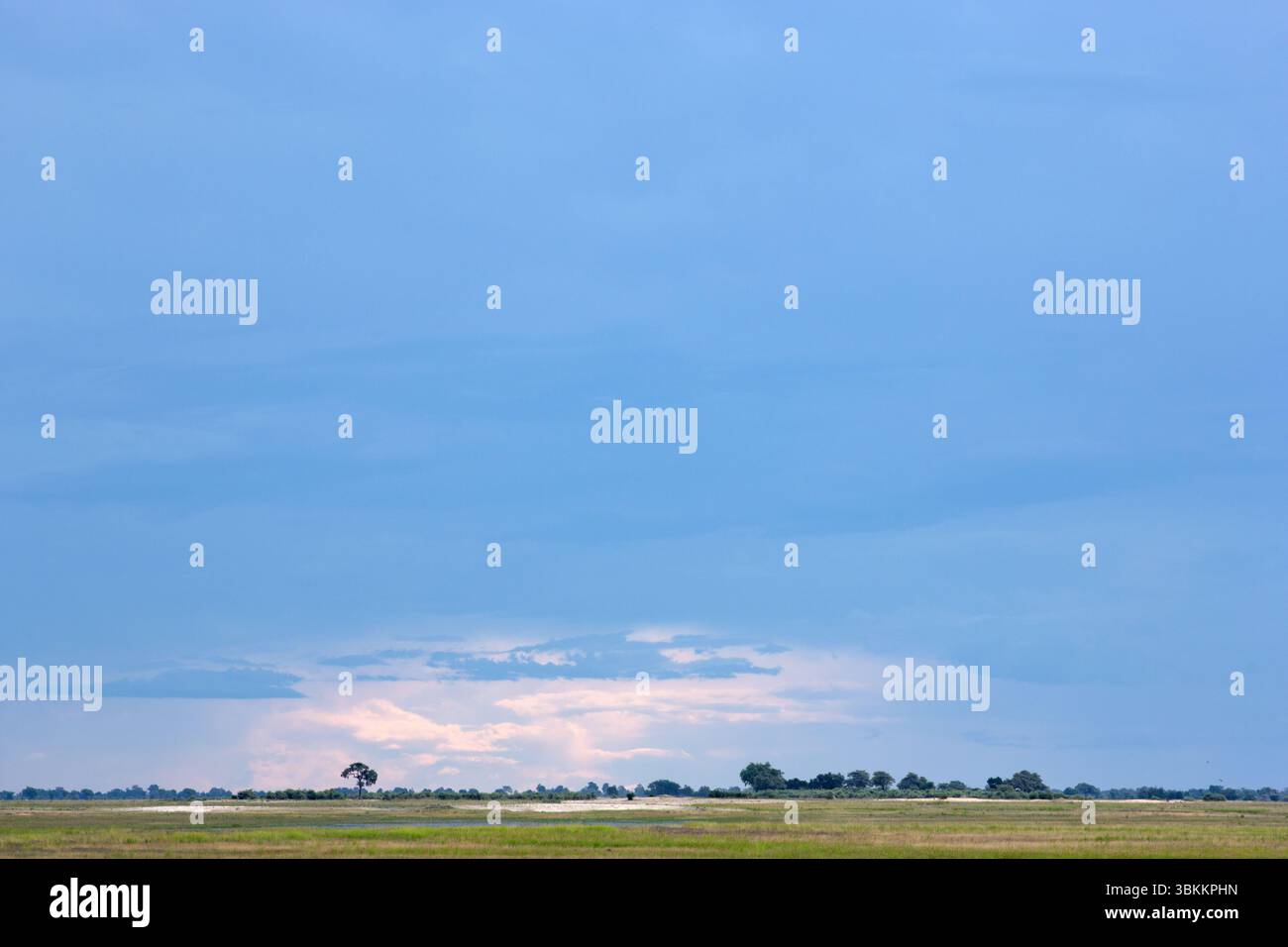 Blauer stürmischer Himmel über der afrikanischen Ebene. Stockfoto