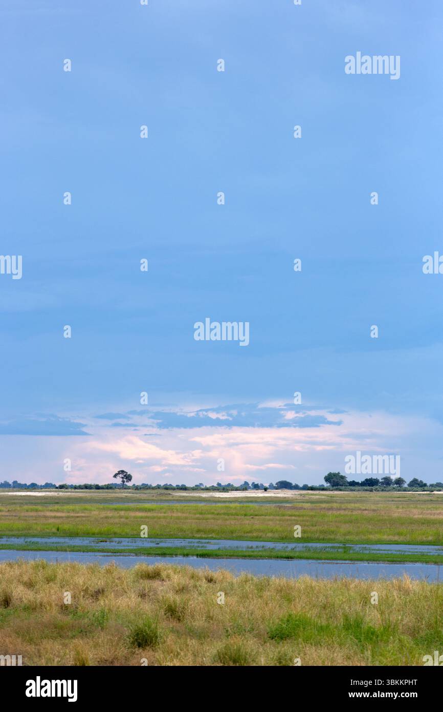 Blauer stürmischer Himmel über der afrikanischen Ebene. Stockfoto