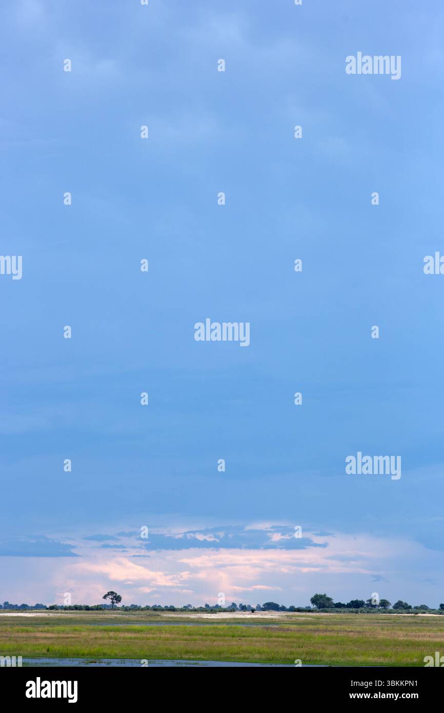 Blauer stürmischer Himmel über der afrikanischen Ebene. Stockfoto