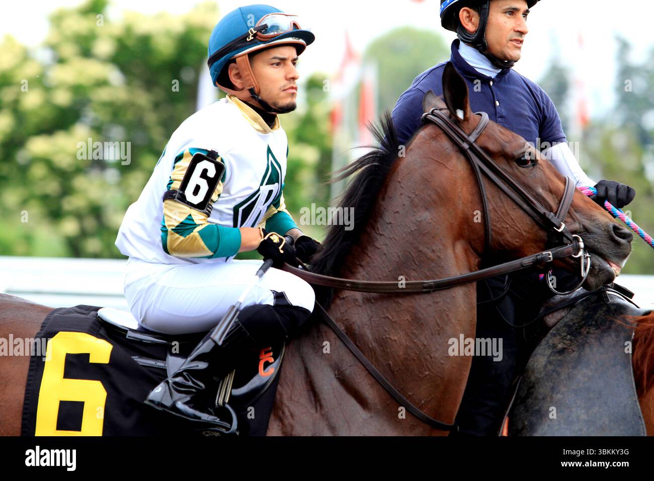Toronto, Kanada. Juni 2025. Jockey Eric Cancel reitet mit Cervere in der Post-Parade, bevor er am 21. Juni 2025 die $100.000 Alywow Stakes von Greenwood Stakes auf der Woodbine Racetrack in Toronto, Kanada, gewann. (Foto: Mike Campbell/NurPhoto)0 Credit: NurPhoto SRL/Alamy Live News Stockfoto