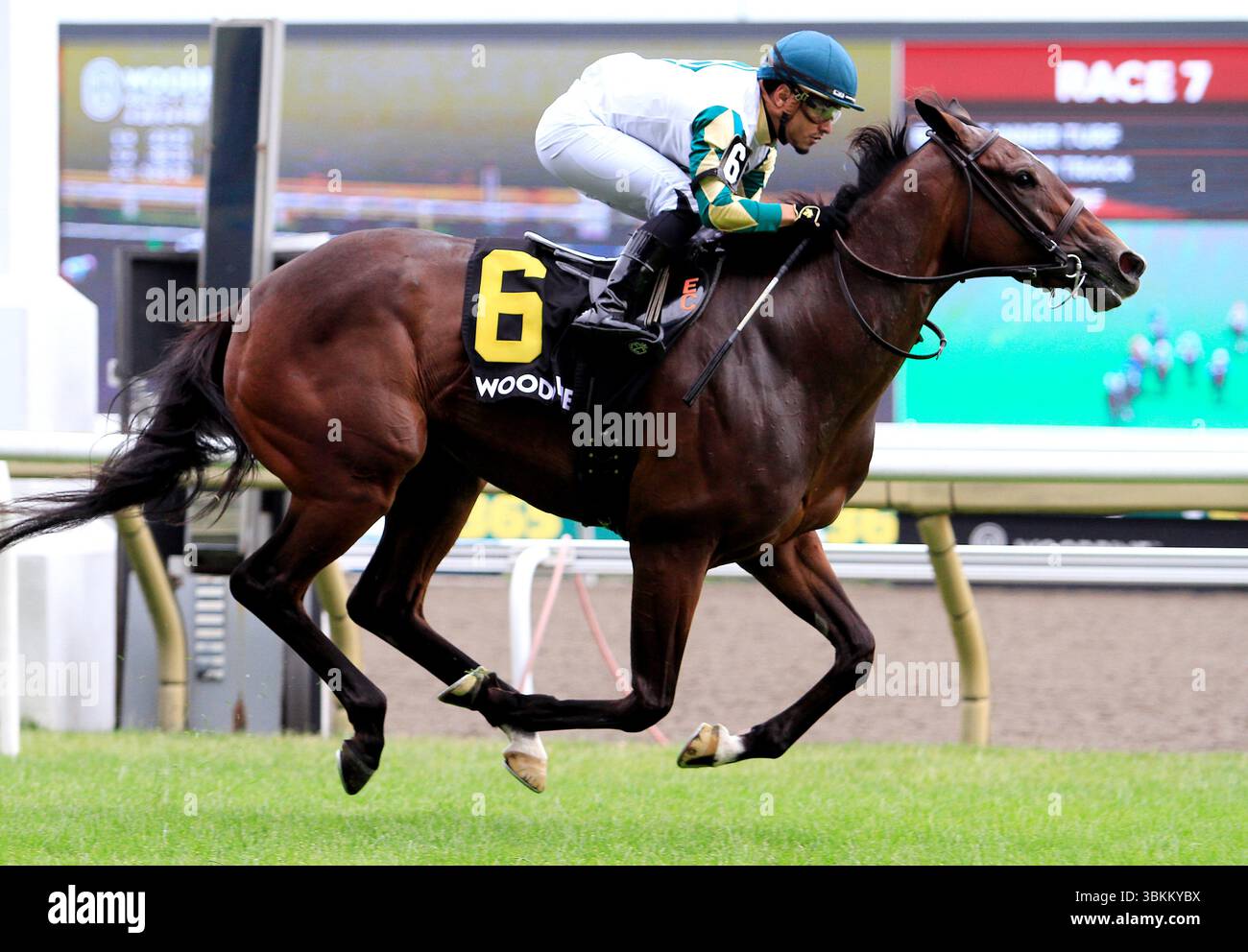 Toronto, Kanada. Juni 2025. Jockey Eric Cancel reitet Love Cervere zu einem Sieg bei den $100.000 Alywow Stakes, die Greenwood Stakes auf der Woodbine Racetrack in Toronto, Kanada, am 21. Juni 2025 präsentierten. (Foto: Mike Campbell/NurPhoto)0 Credit: NurPhoto SRL/Alamy Live News Stockfoto