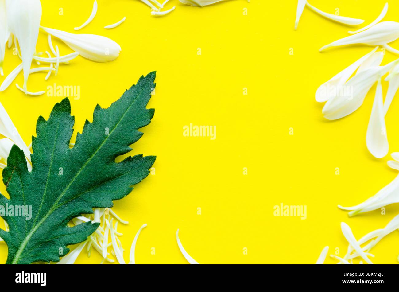 Geblümter gelber Hintergrund mit grünem Blattdesign und Kopierraum. Stockfoto