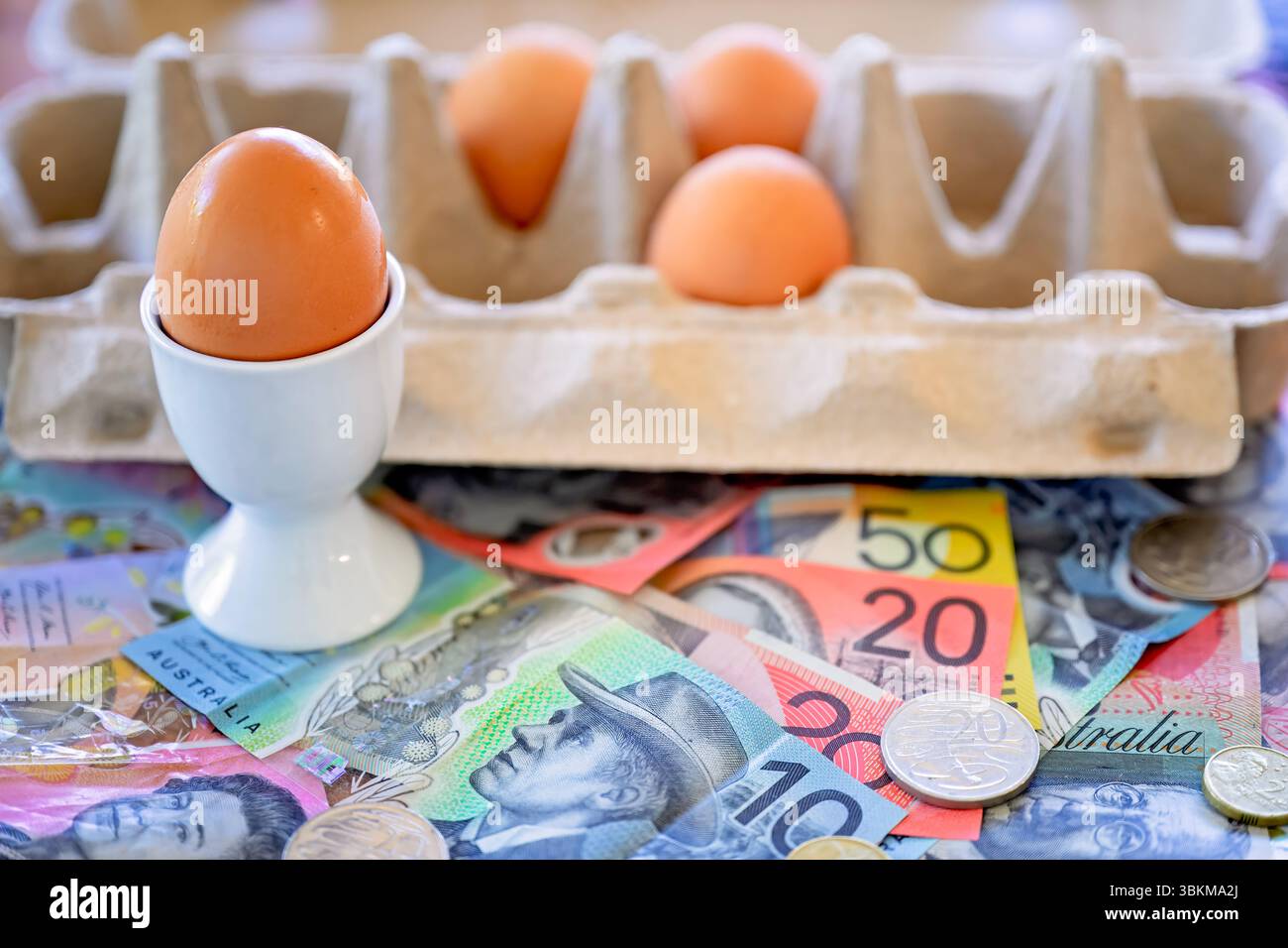 Australien Lebenshaltungskosten Krise, Eier im Karton und gekochtes Ei im Becher, sitzen auf australischen Banknoten Währung, wirtschaftliche finanzielle Härte Konzept Stockfoto
