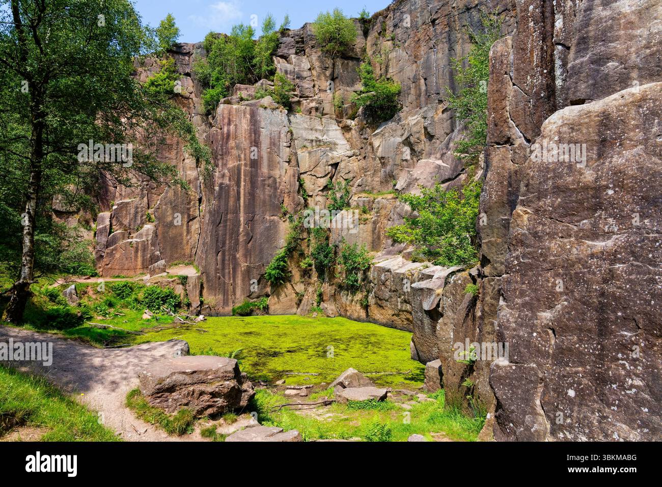 Ein kleiner Teich, der mit grünen Algen bedeckt ist, befindet sich unterhalb der Felswände in einem stillgelegten Grausteinbruch in Derbyshire. Stockfoto