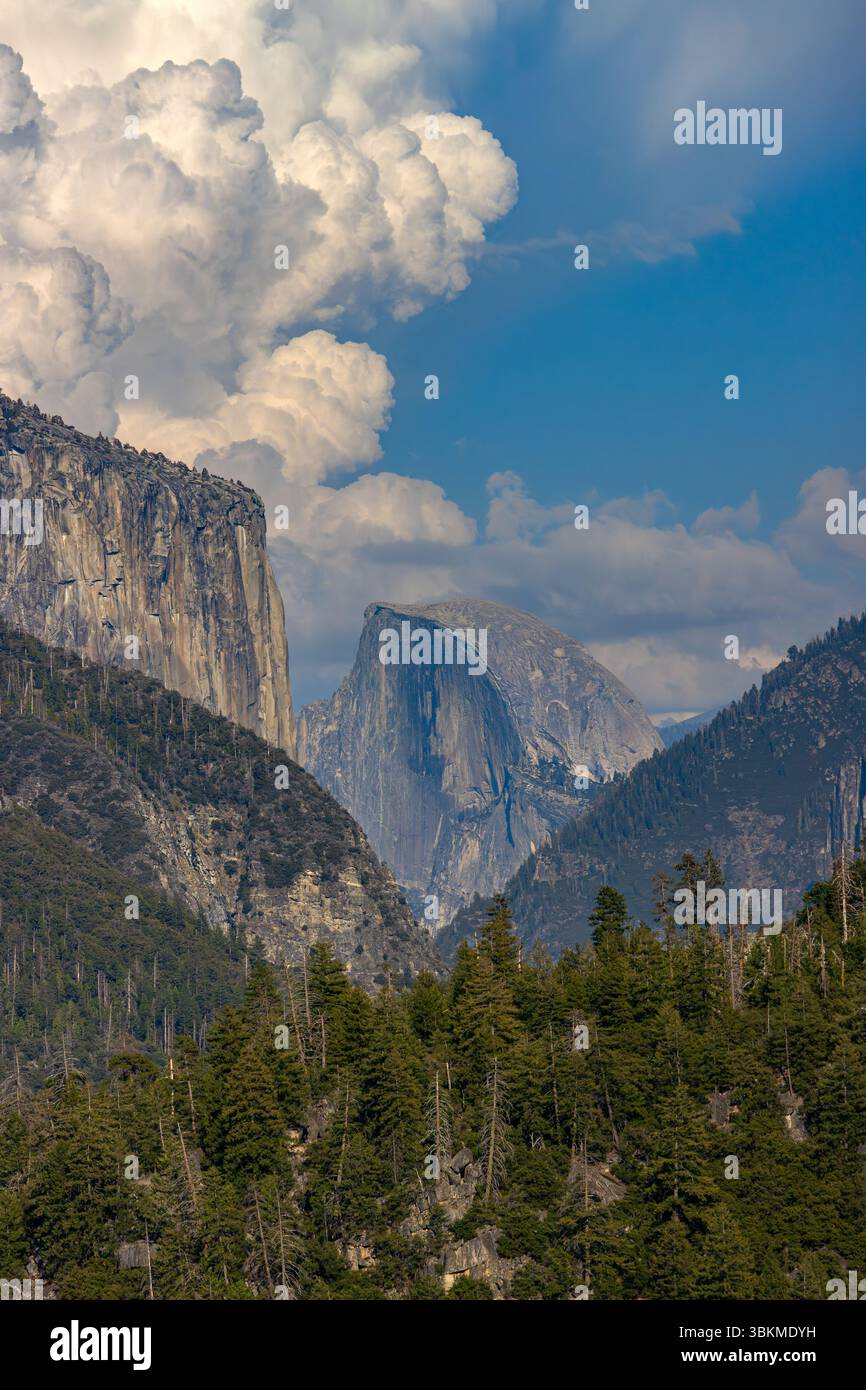 Eine hoch aufragende Cumulonimbus-Wolke über dem Half Dome im Yosemite-Nationalpark. Stockfoto
