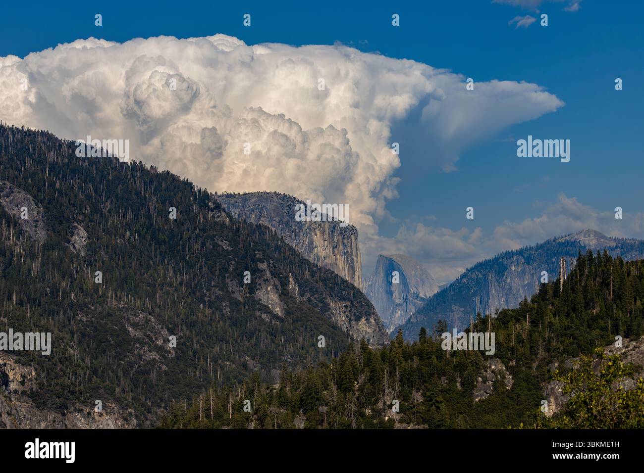 Landschaftsversion einer kolossalen Cumulonimbus-Wolke über Half Dome im Yosemite-Nationalpark. Stockfoto