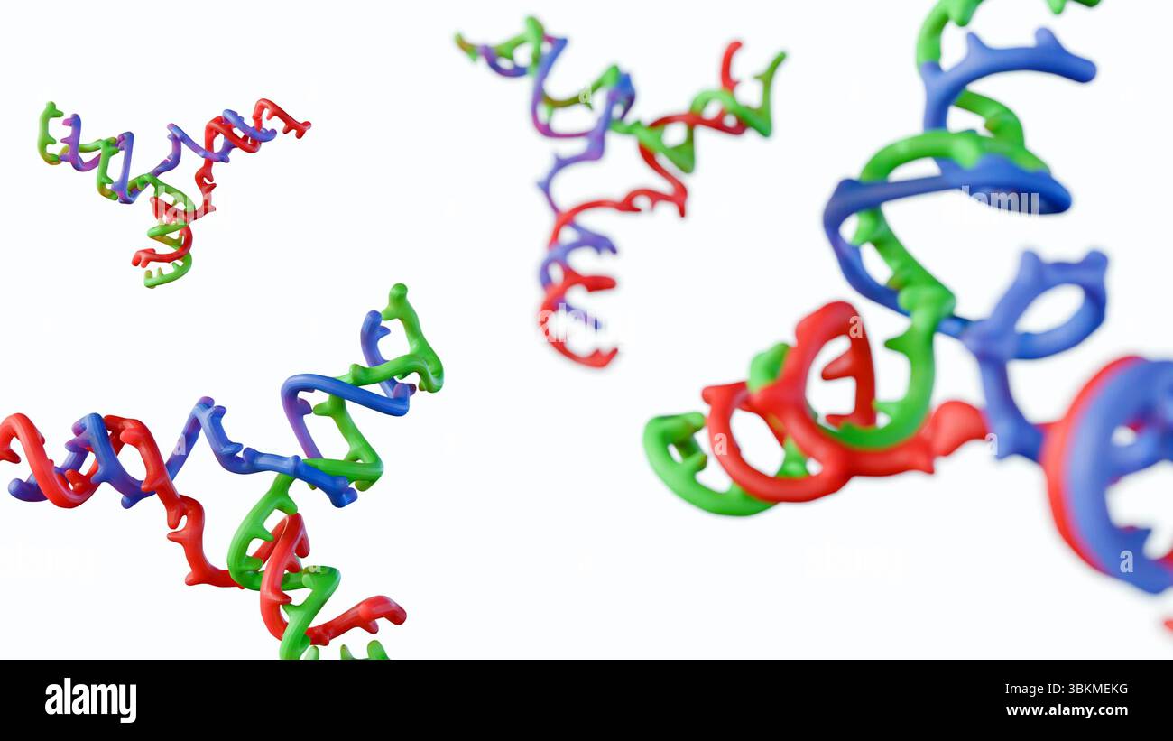 Ein 3D-Rendering von DNA-drei-Wege-Verbindungen, das bei biologischen Prozessen wie DNA-Rekombination, -Reparatur und -Replikation zu finden ist. Stockfoto