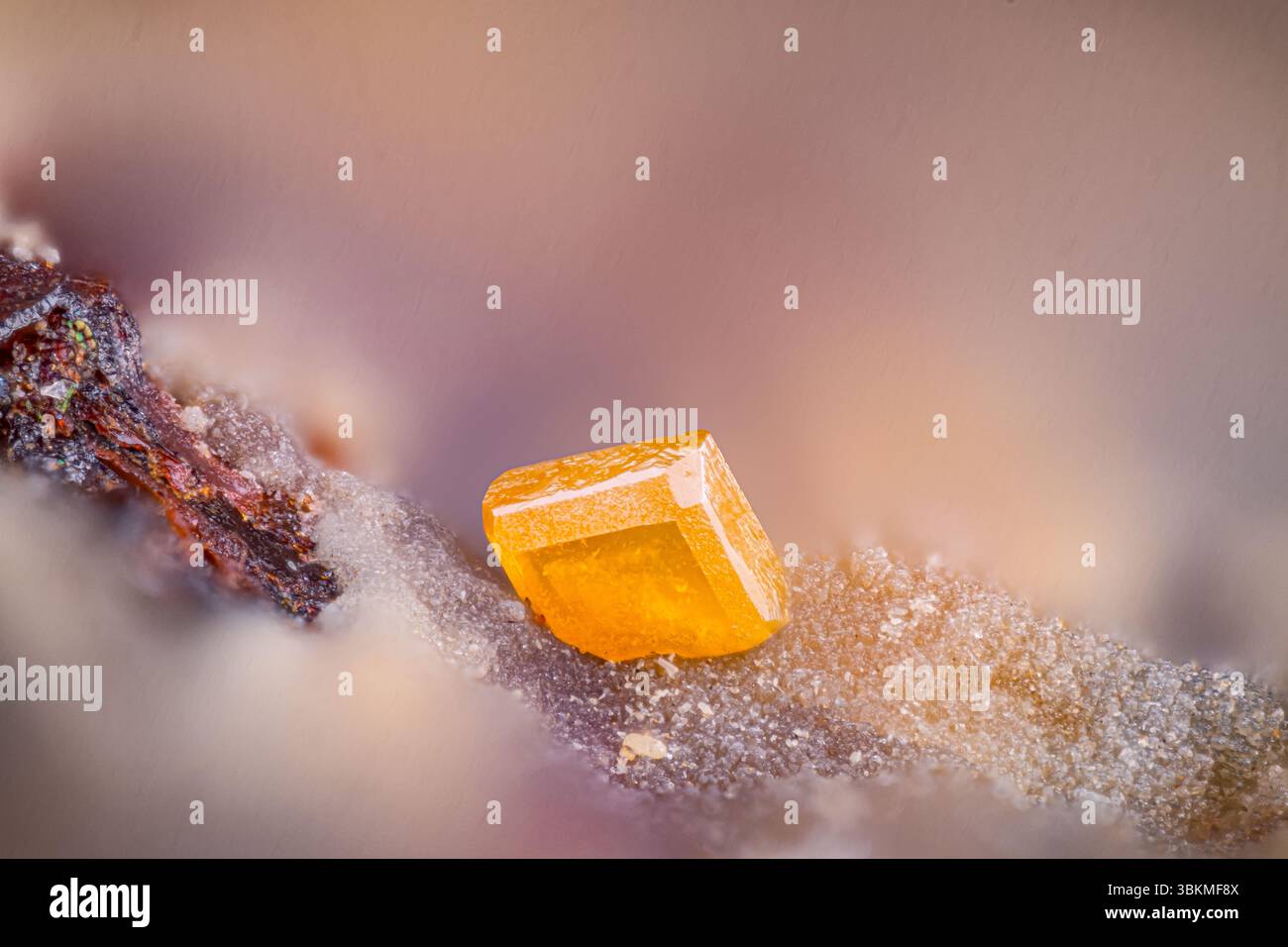 Wulfenitkristall. Exemplar aus La Rouvière, St-Marguerite-Lafigère, Frankreich. Mikrofotografie extreme Nahaufnahme. Mikroskop-Mineralkristall Stockfoto