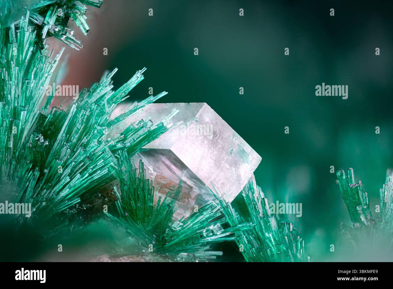 Grüner Malachit mit klarem Calcit. Exemplar aus der Tsumeb-Mine, Namibia. Mikrofotografie extreme Nahaufnahme. Mikroskopische Mineralkristallisfotografie Stockfoto