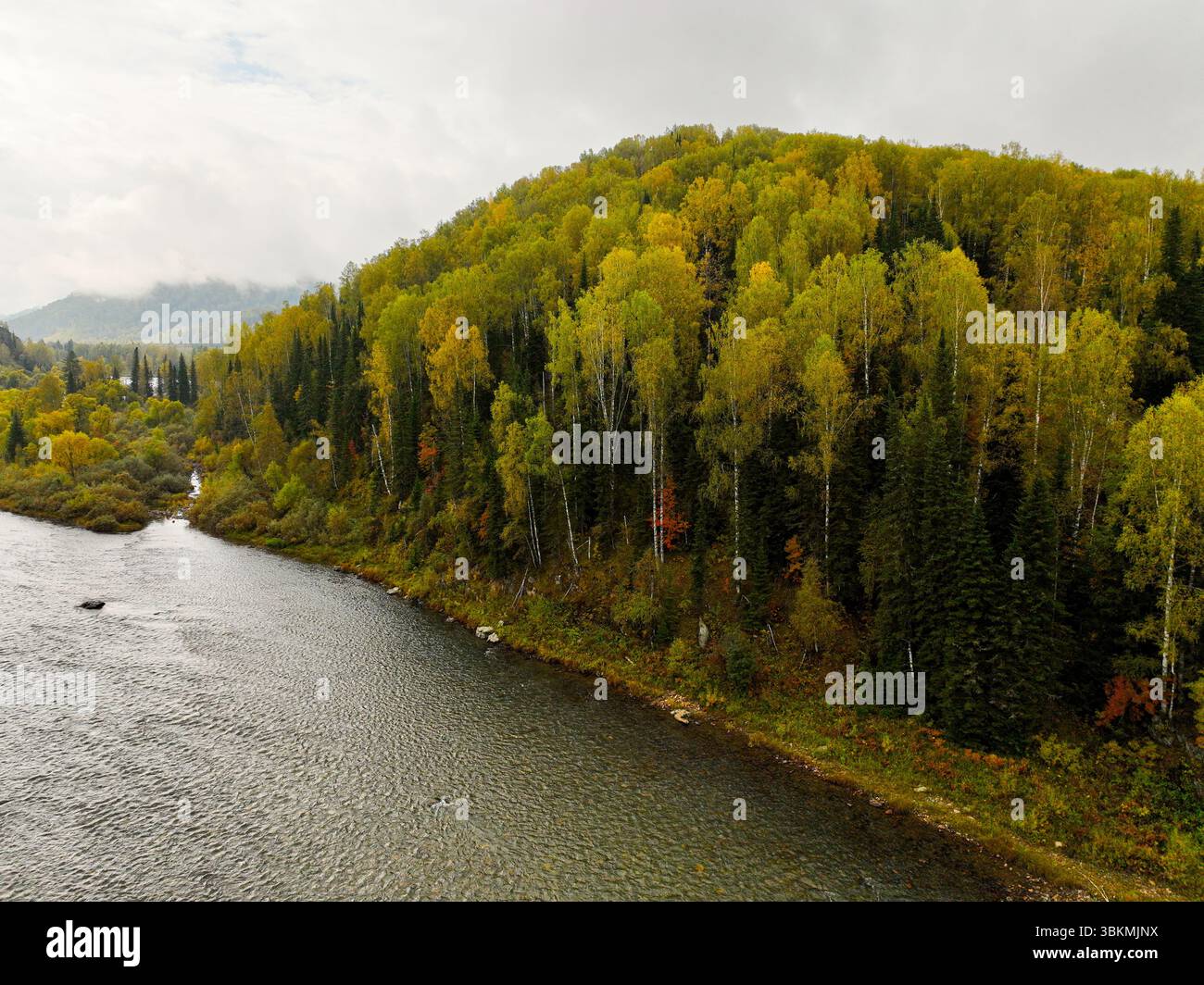 Ein breiter Fluss fließt an einem Hügel vorbei, der von lebhaften, herbstlichen Bäumen bedeckt ist, mit fernen Bergen unter einem bewölkten Himmel Stockfoto