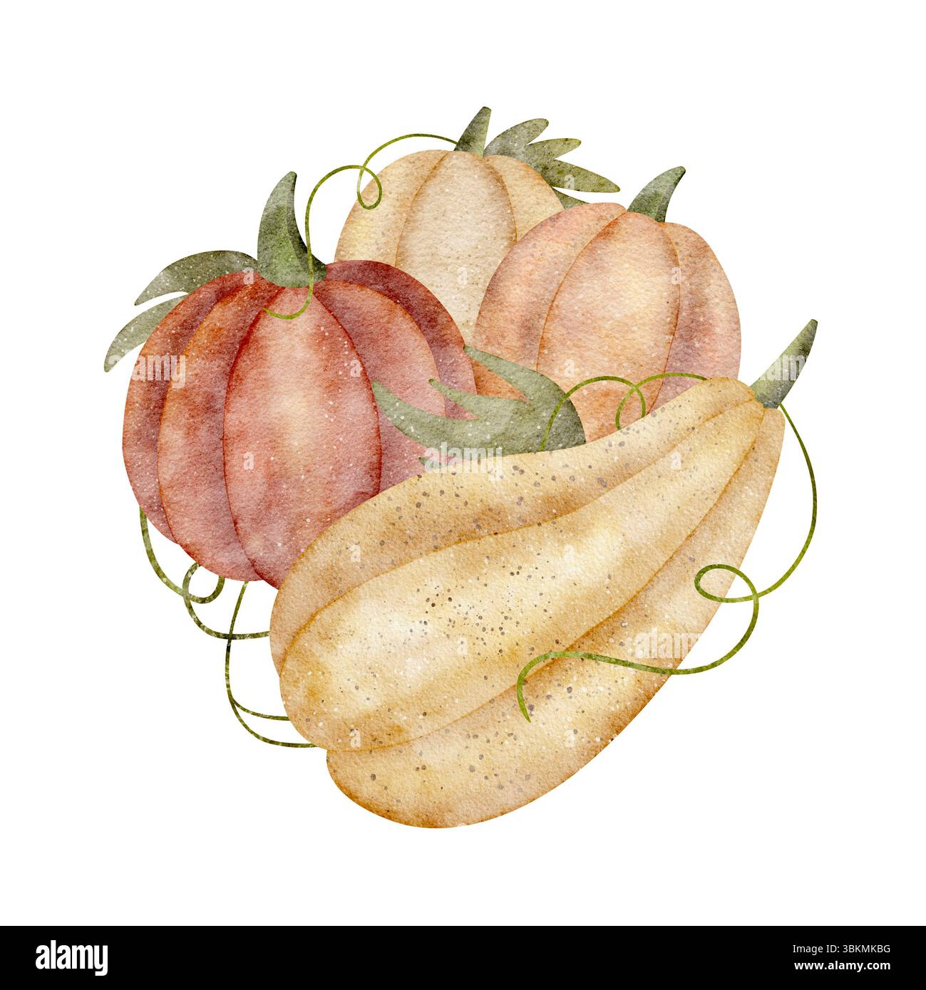 Aquarell Herbsternte Zusammensetzung Kürbisgelb, orange rot. Gemüse-Illustration handgezeichnet im Retro-Stil auf isoliertem Hintergrund für Stockfoto