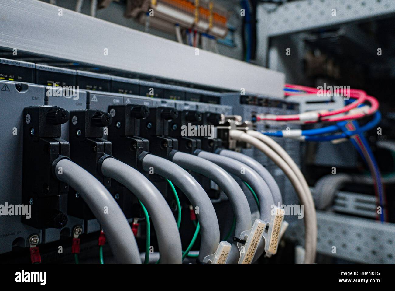 Ein Bündel von Drähten ist mit einer Box verbunden. Die Kabel sind weiß und blau. Das Feld ist grau Stockfoto