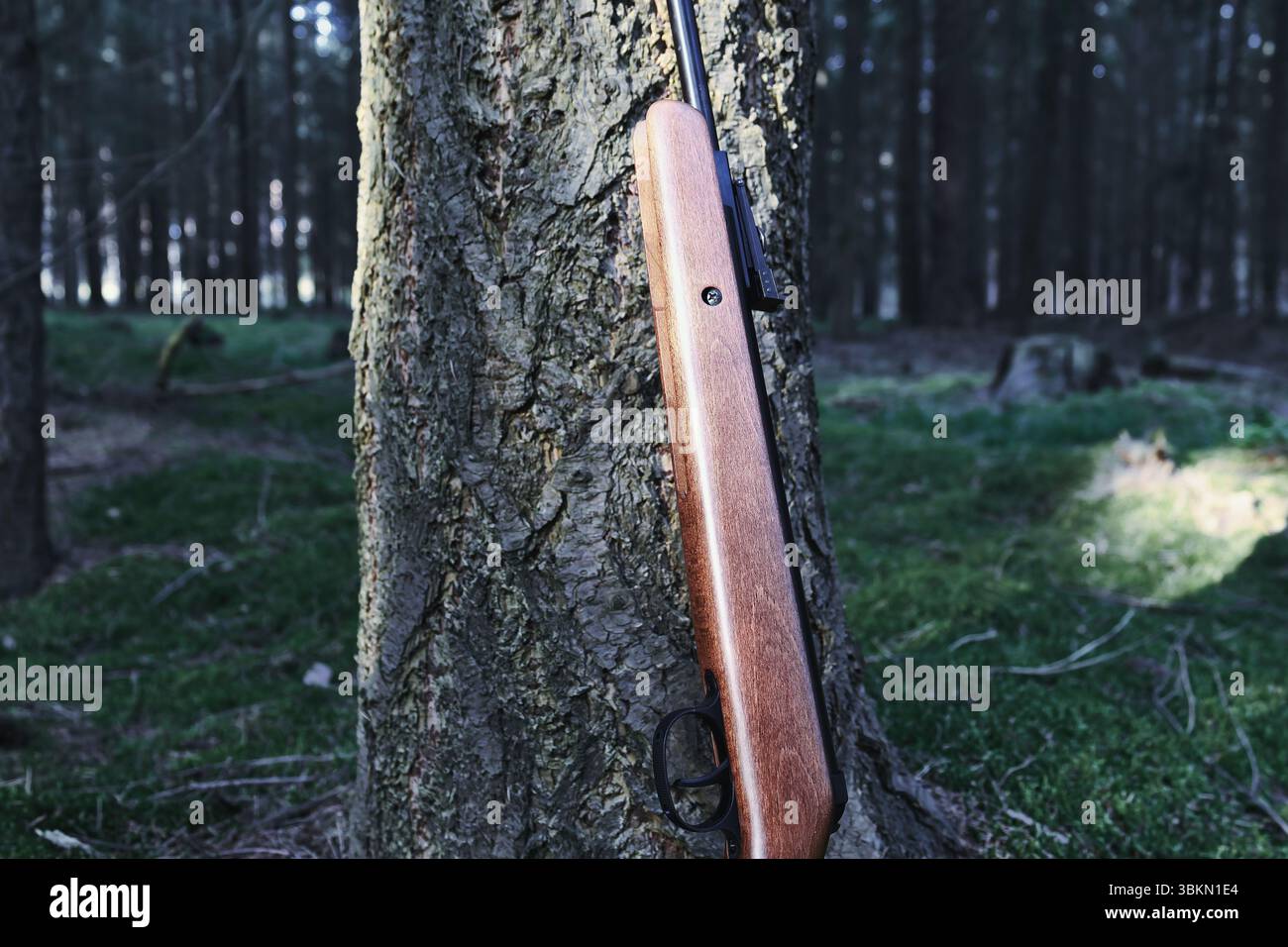 Pistolenauslöser Ziel Nahaufnahme Sport Shooter Schütze Hobbyverteidigung Schusswaffen Gewehr Munition Schutz Kugeln Jagd Luftgewehrschalldämpfer Stockfoto