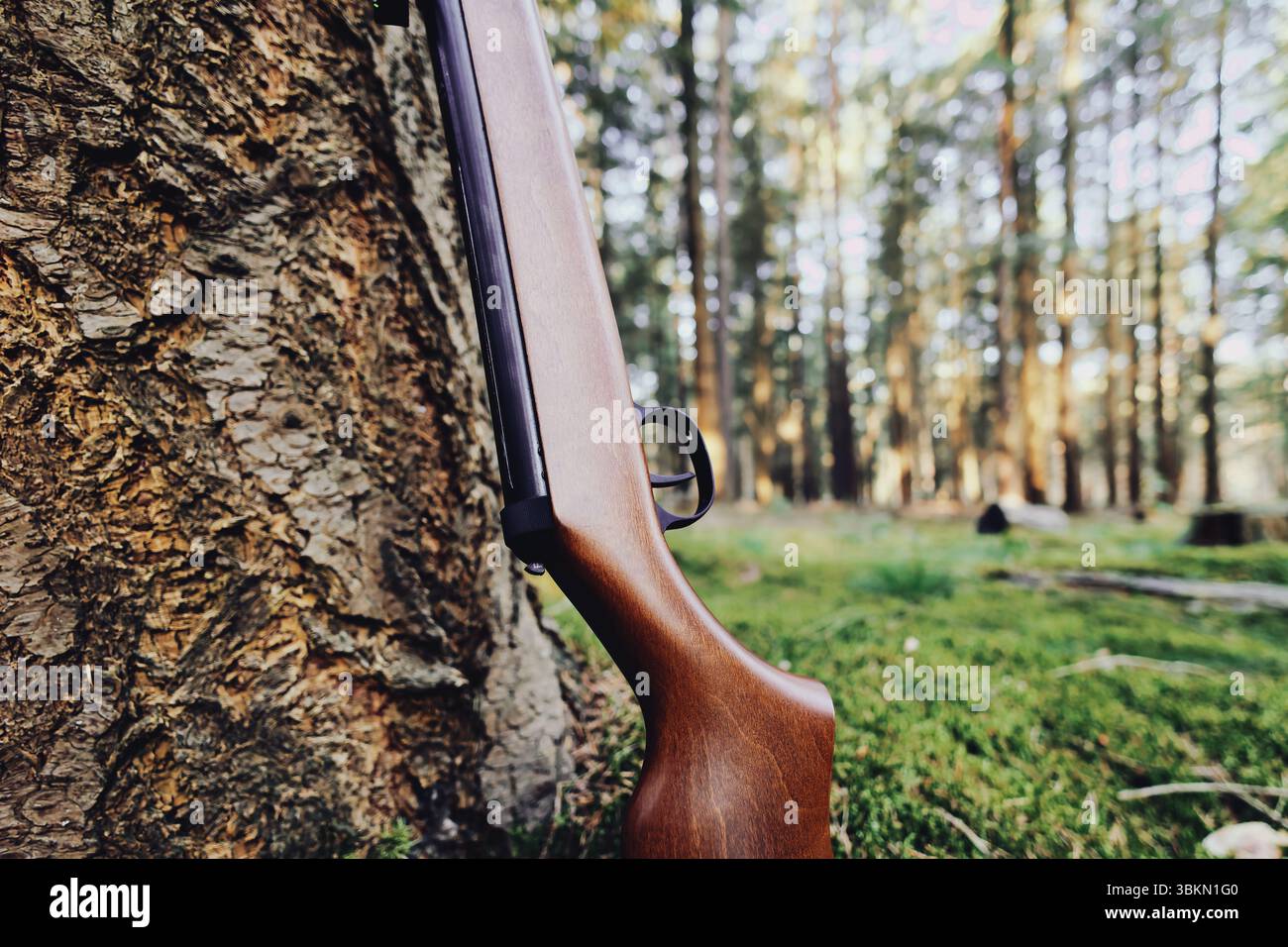 Pistolenauslöser Ziel Nahaufnahme Sport Shooter Schütze Hobbyverteidigung Schusswaffen Gewehr Munition Schutz Kugeln Jagd Luftgewehrschalldämpfer Stockfoto