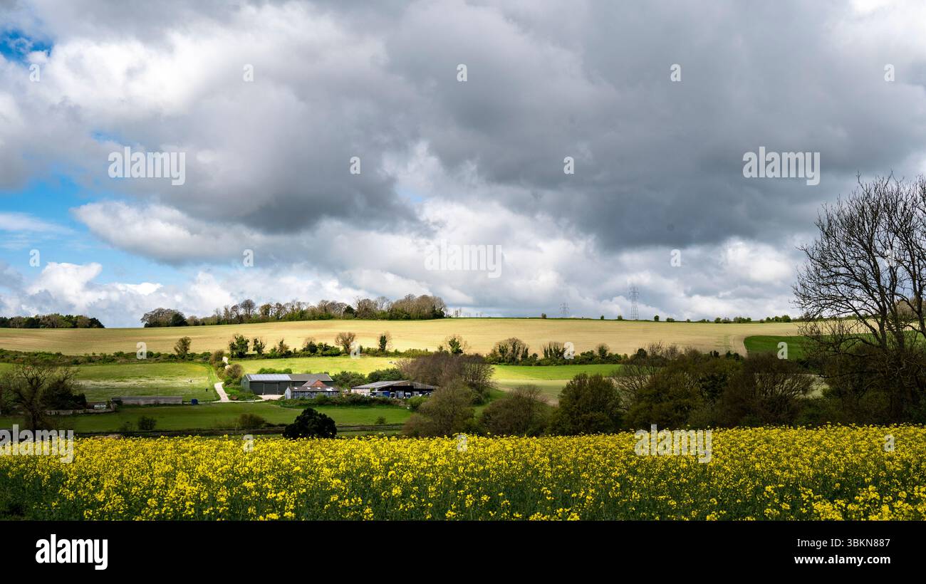 Ein typischer englischer Bauernhof in einer wunderschönen Rapslandschaft im Frühling. Stockfoto