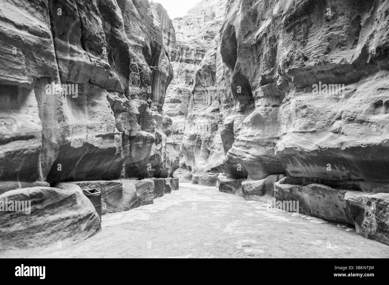 Ein schmaler Canyon mit einer großen Felsmauer auf beiden Seiten. Der Canyon ist leer und die Felsen sind grau Stockfoto