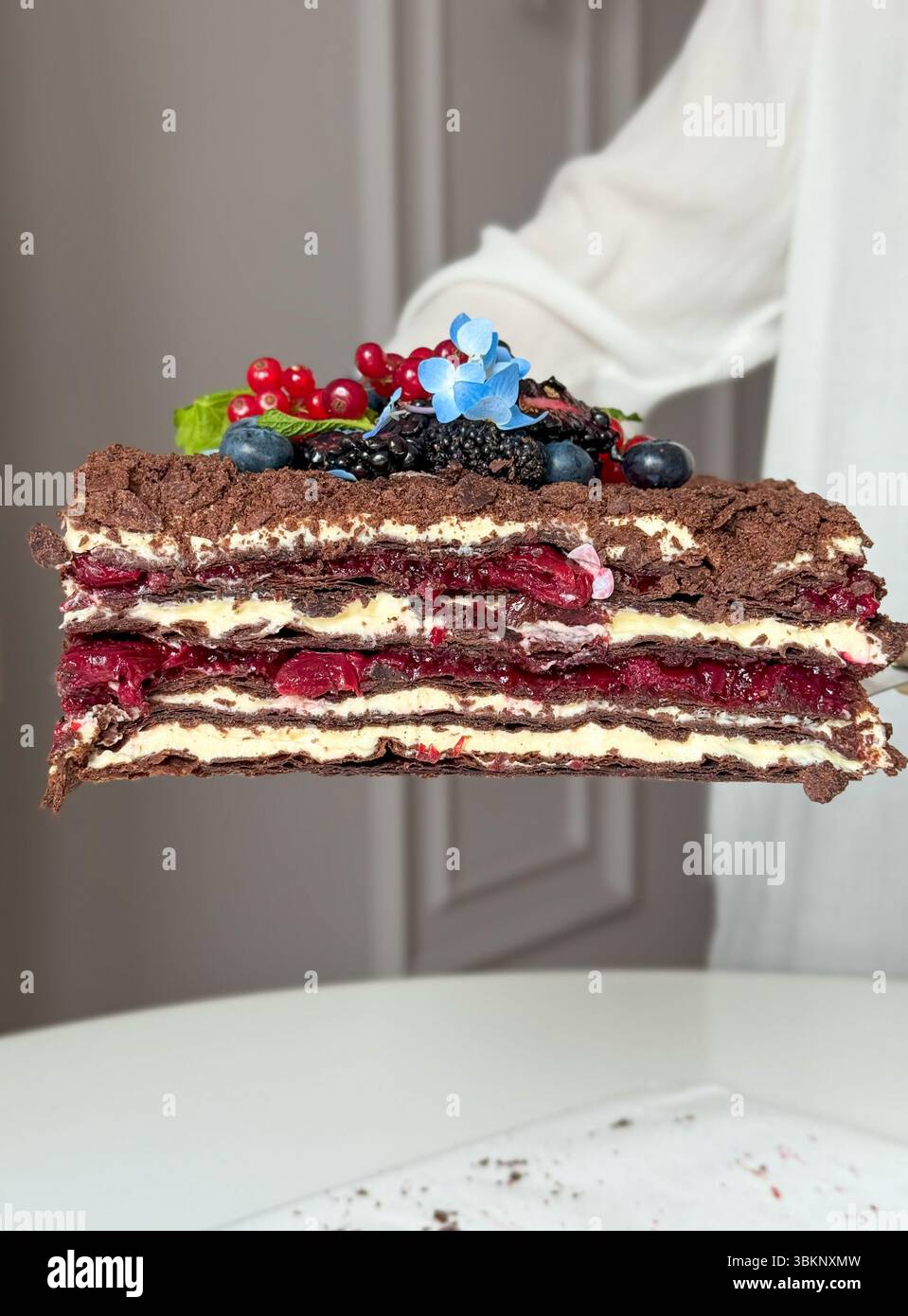 Mehrschichtige Schokoladen-Beeren-Tortenscheibe mit botanischer Beilage Stockfoto