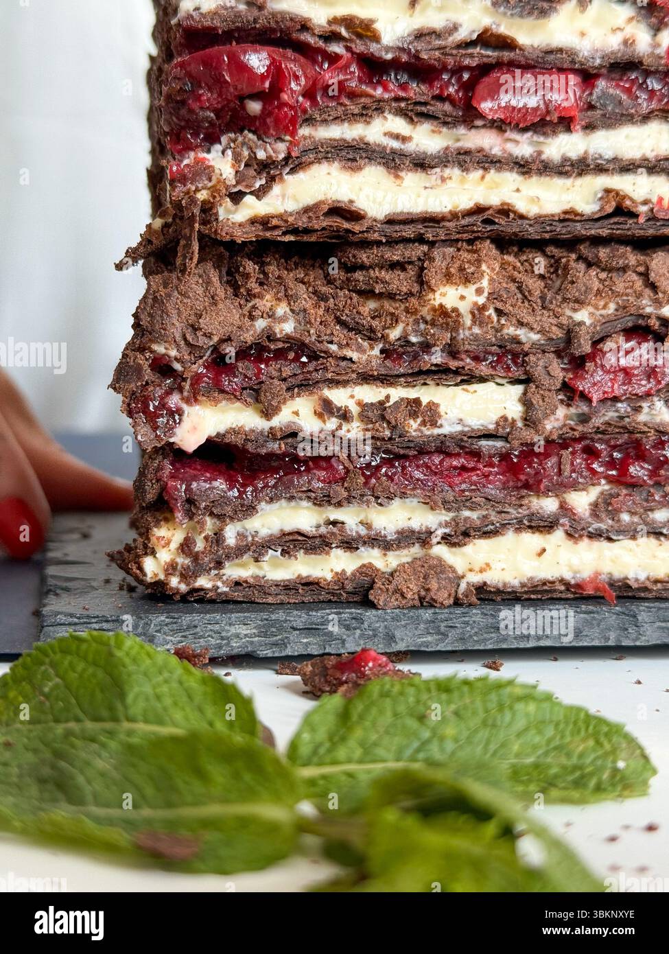 Schokoladenkirschdessert mit frischem Mint und Handdetail Stockfoto