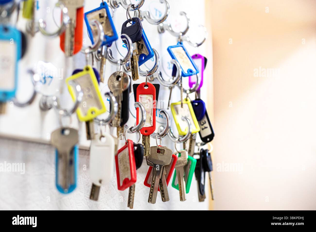 Gerätehaken für Schlüssel aus Büros und Schränken an einer Lichtwand im Innenraum. Zurück zur Schule Stockfoto