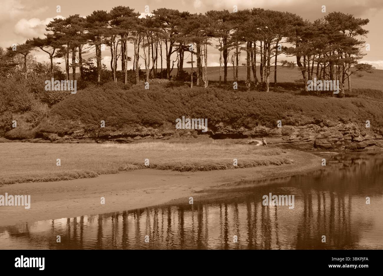Sepia-farbener Blick auf die Flussmündung des River Otter in Devon, England, im Mai aufgenommen. Bäume spiegeln sich im ruhigen Wasser und schaffen eine nostalgische Atmosphäre. Stockfoto