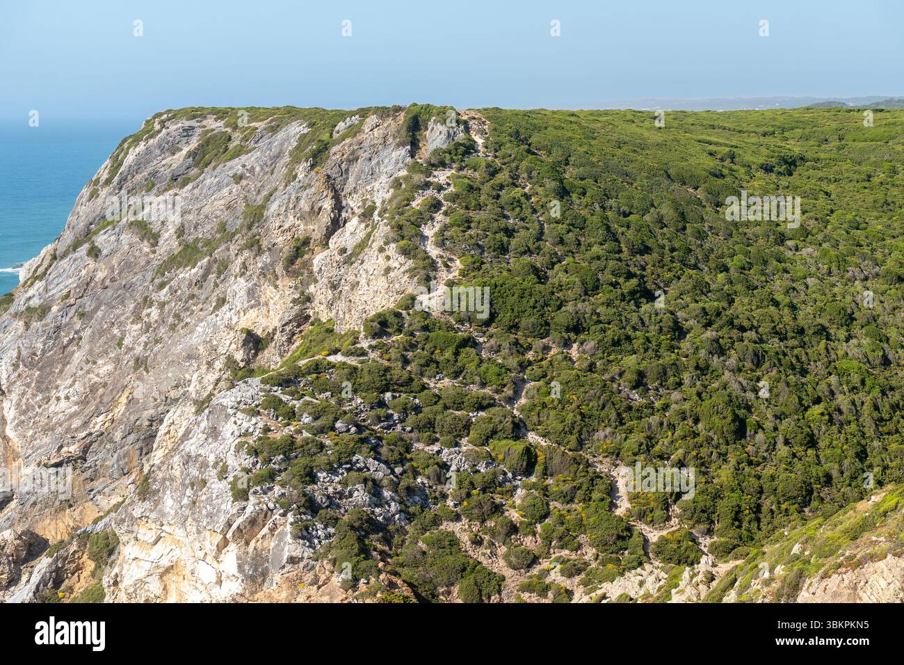 Atemberaubende felsige Klippen, bedeckt mit dichter grüner Vegetation, mit Blick auf den Atlantik in der Region Lissabon, perfekt für Wanderungen, Abenteuer und malerische Landschaftsfotografie. Stockfoto